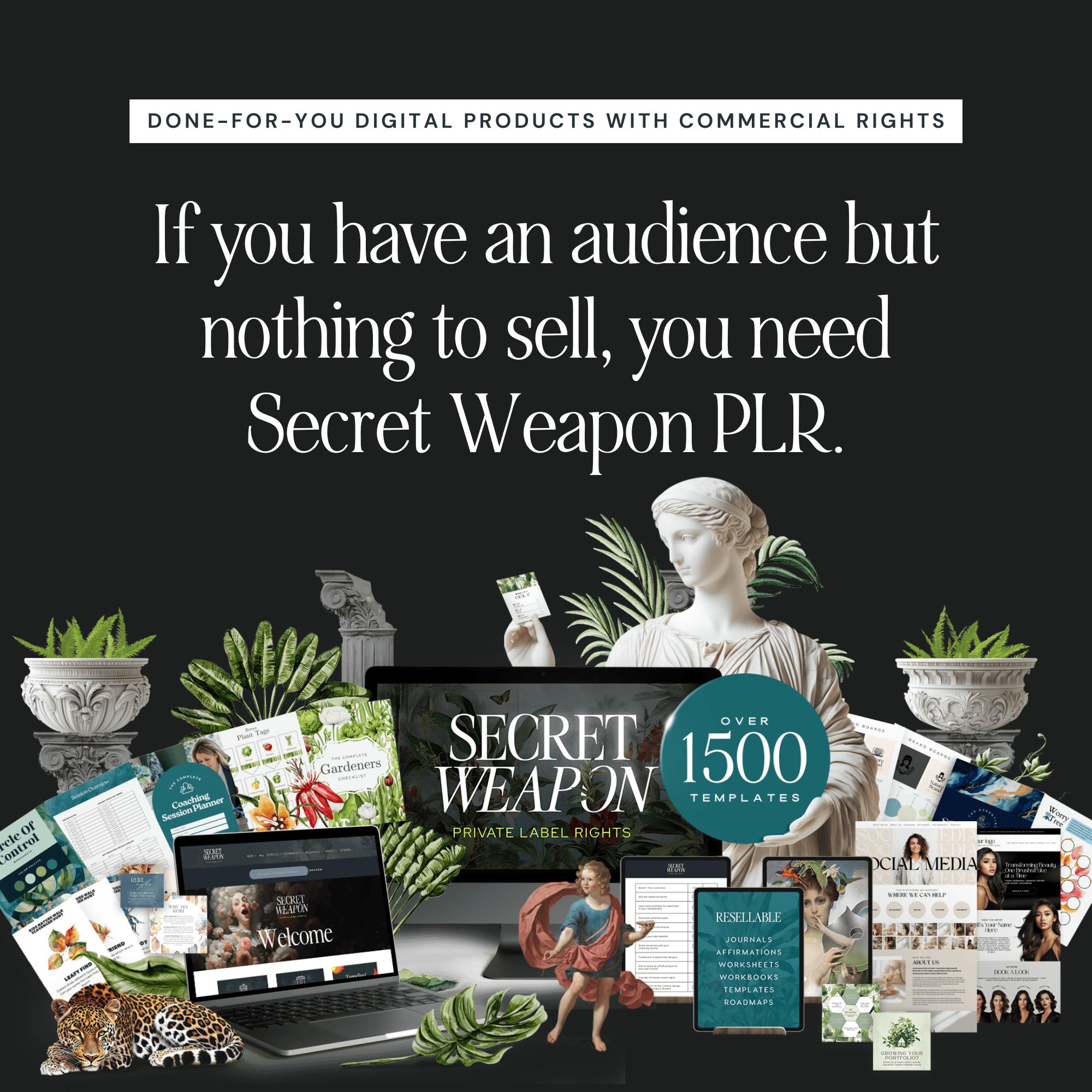 Evelyn Weiss Coaching Facebook ad