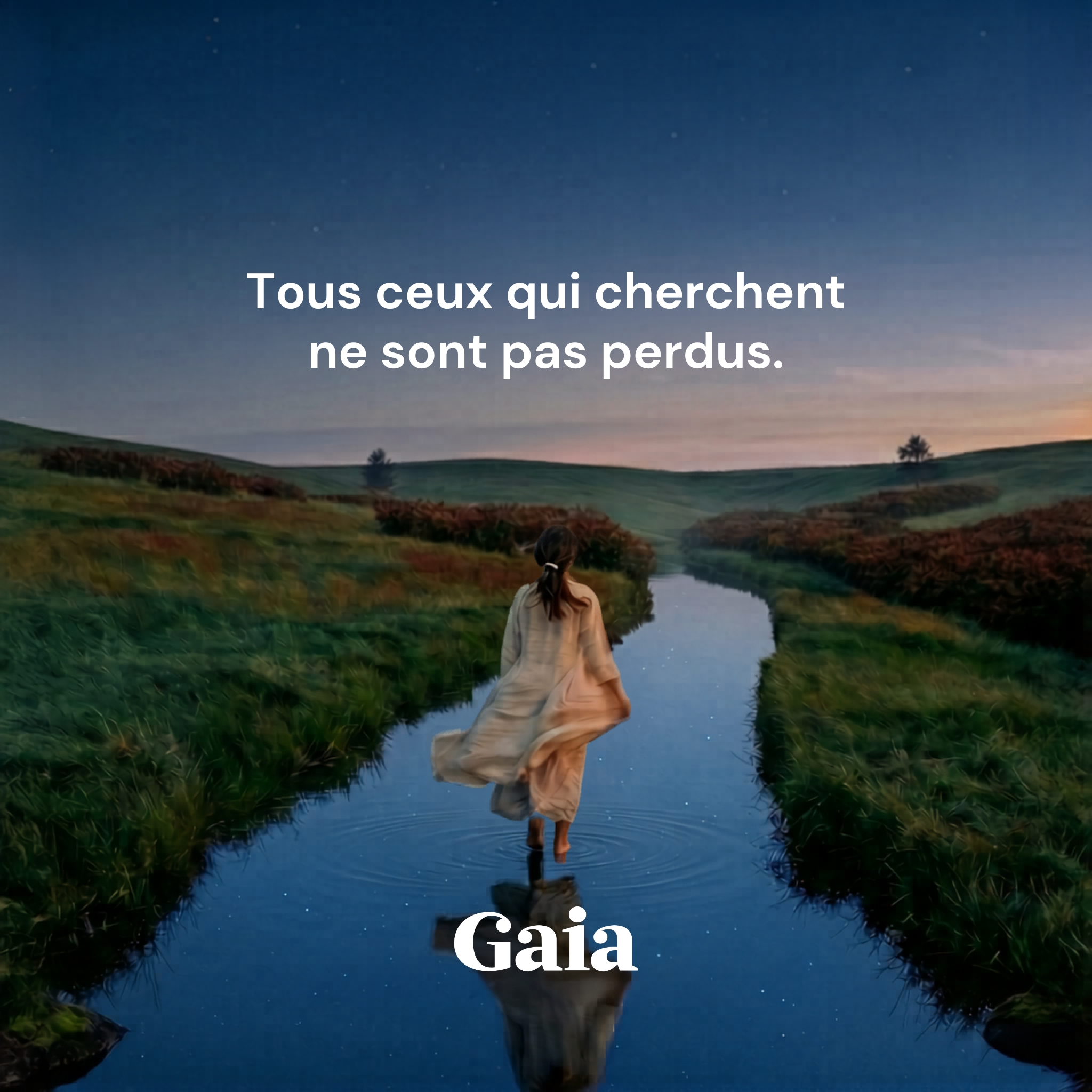 Nous Sommes Gaia Facebook ad