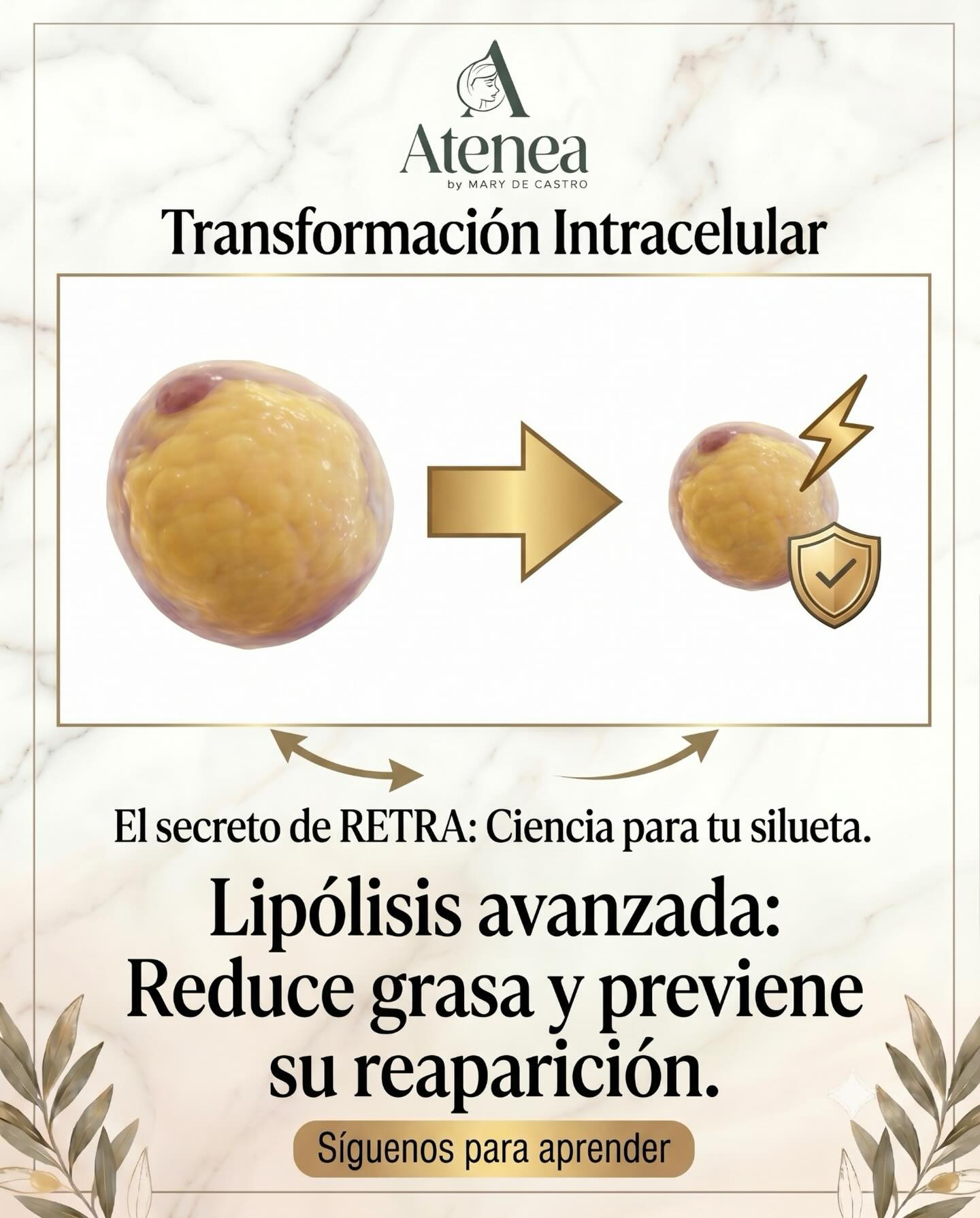 Atenea Estética y Relajación Facebook ad: Tu cuerpo no necesita castigo, necesita estrategia y…