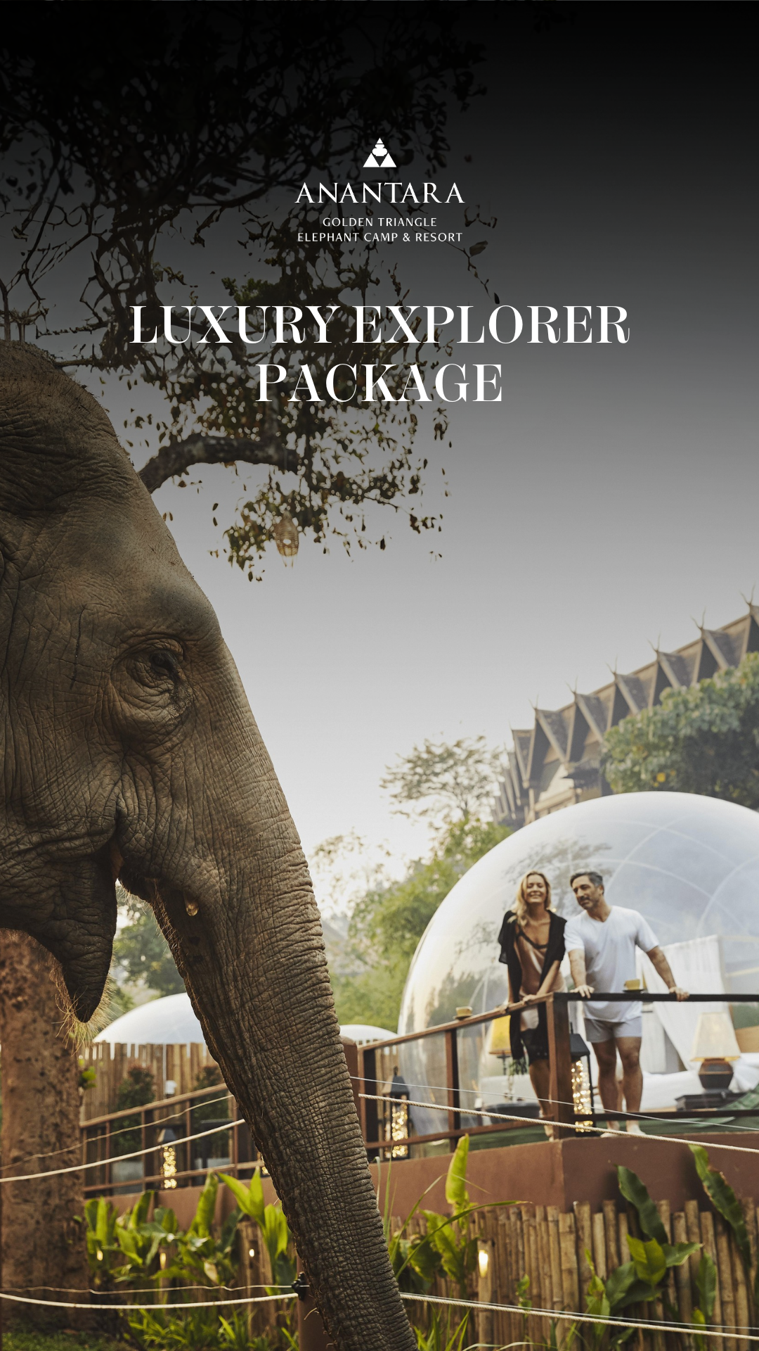 Anantara Golden Triangle Elephant Camp & Resort Facebook ad