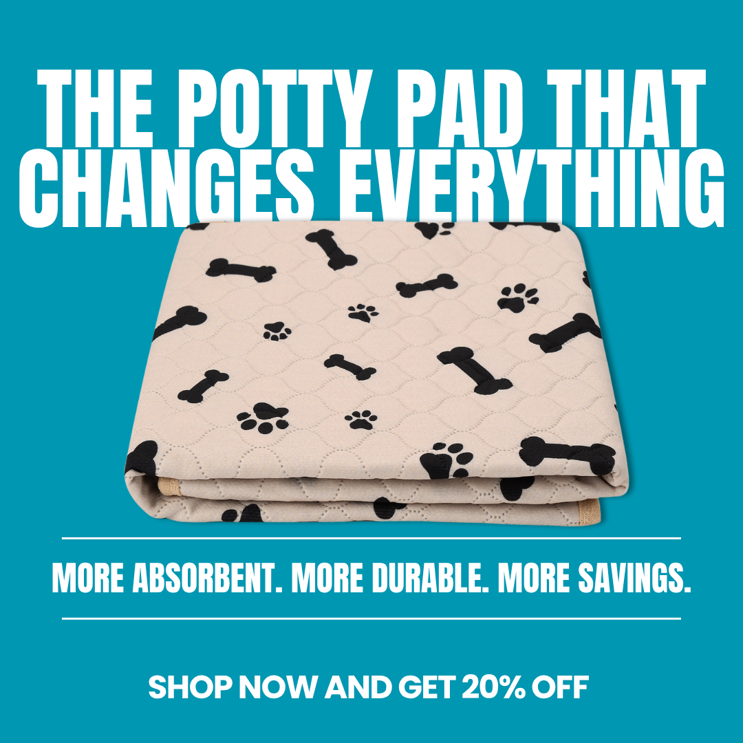 Potty Buddy Facebook ad