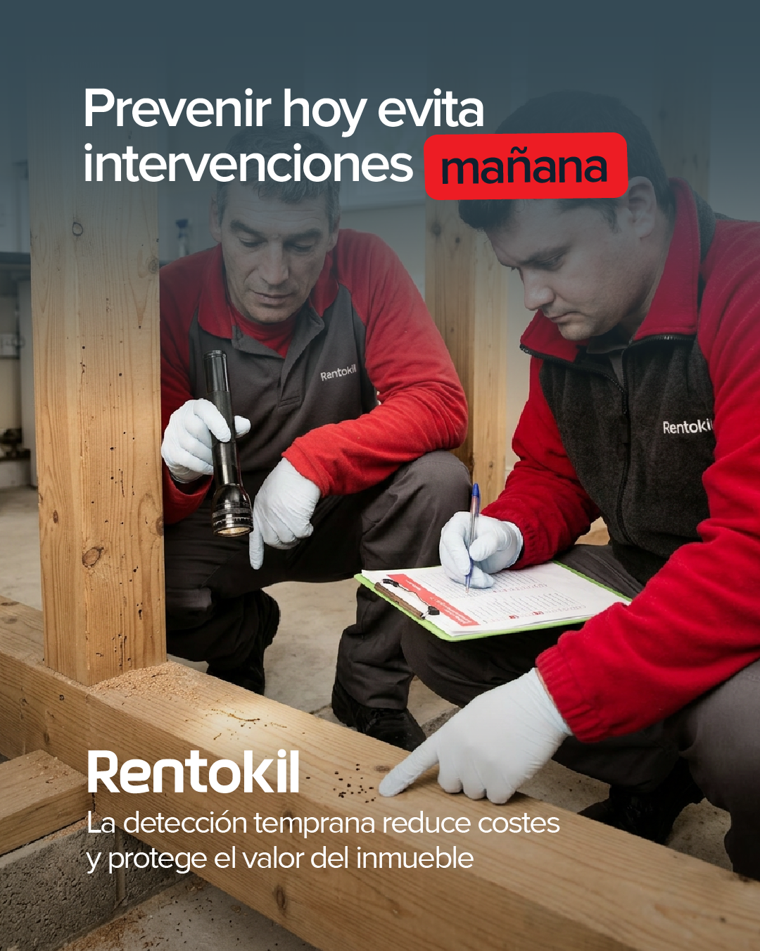 Rentokil España Facebook ad: Lo que no ves puede estar destruyendo tu…