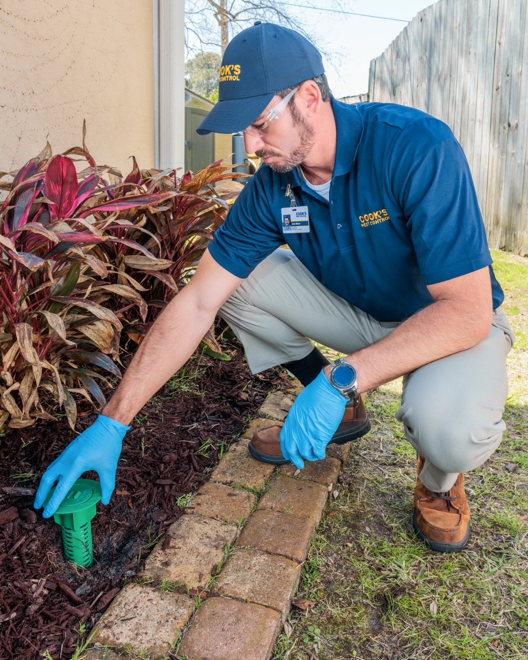Cook's Pest Control Facebook ad: Cook's Pest Control | Pest, Mosquito, and Termite Control