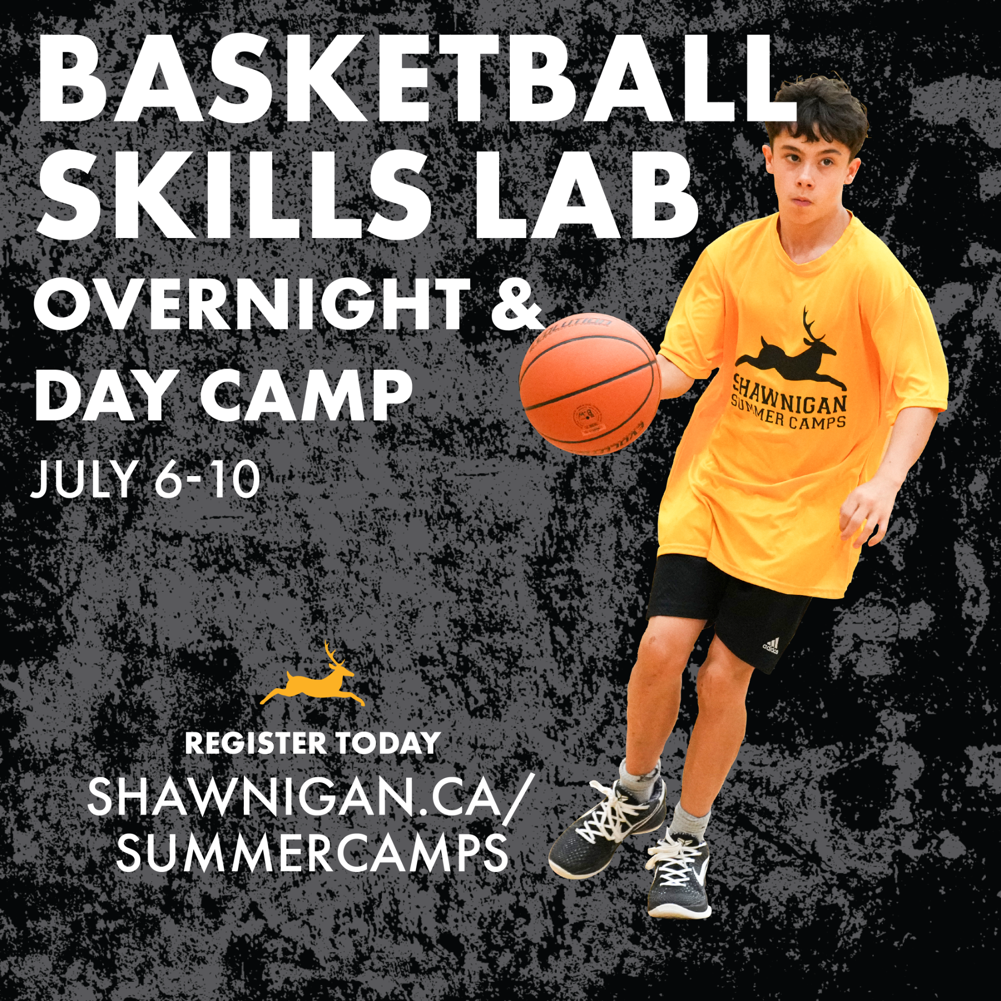 Shawnigan Lake School Facebook ad: Train at Shawnigan Lake School’s Basketball Skills Lab…