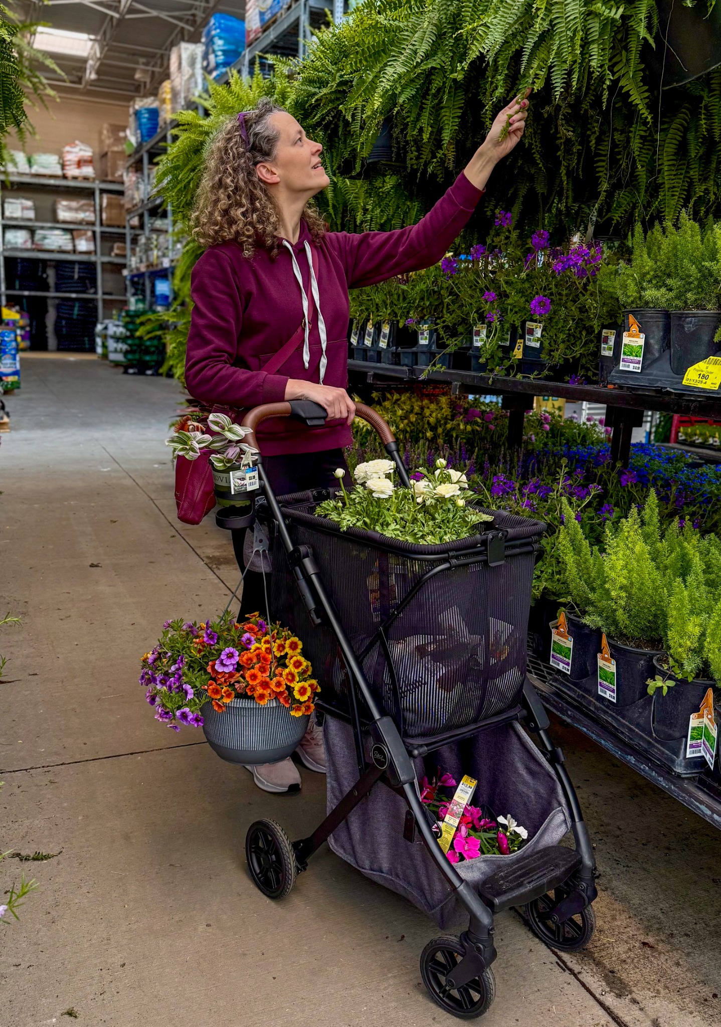 Strolee Carts Facebook ad