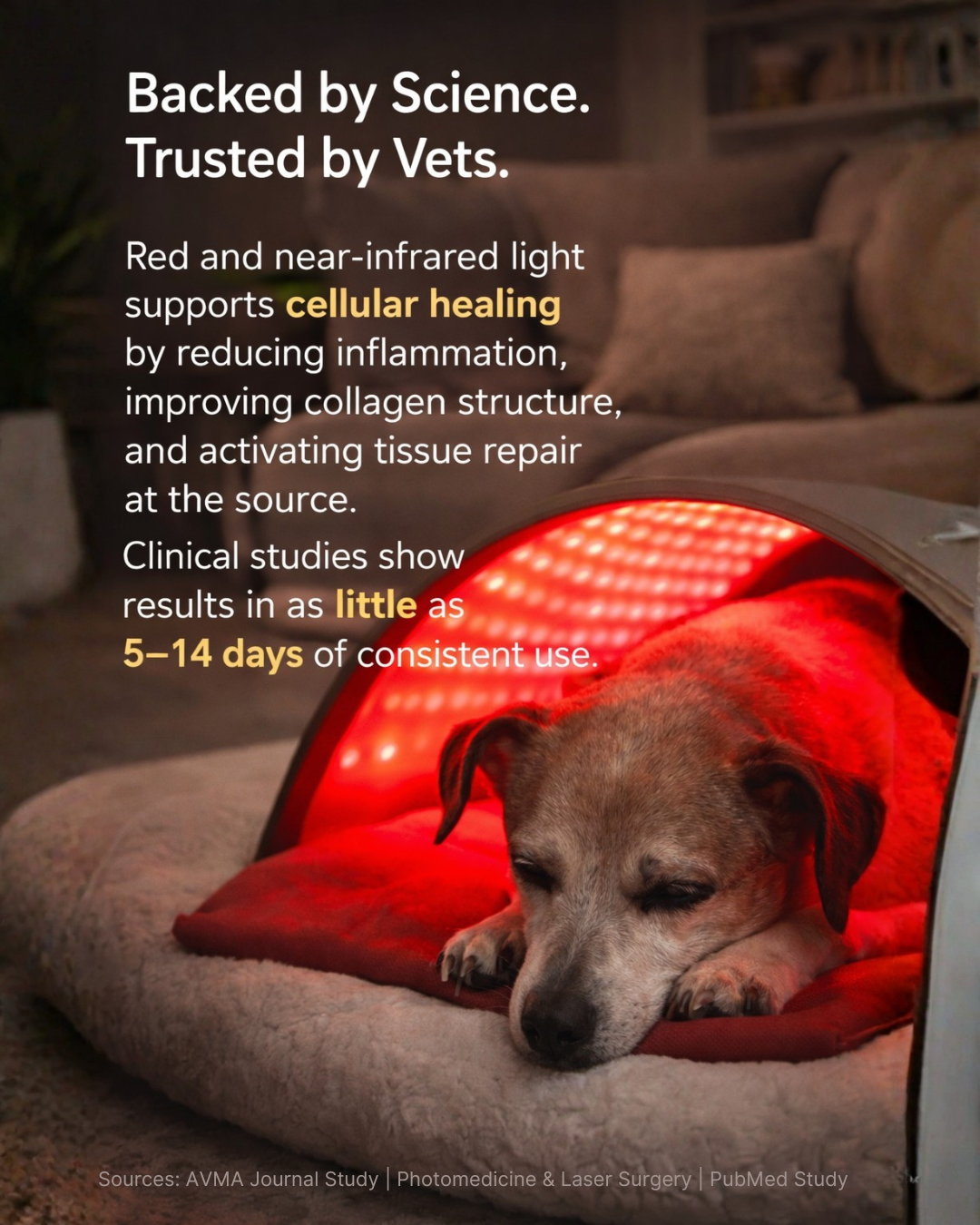 Therapet Co Facebook ad