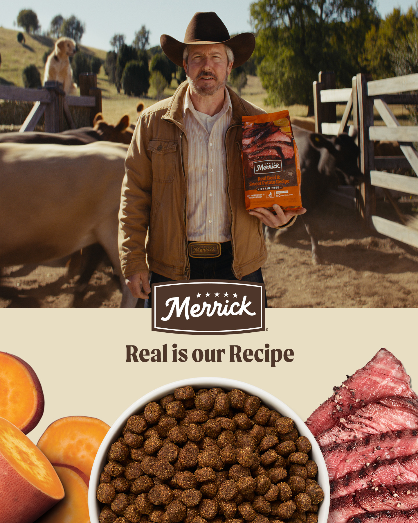 Merrick Pet Care Facebook ad: Merrick Grain Free Dog Food​