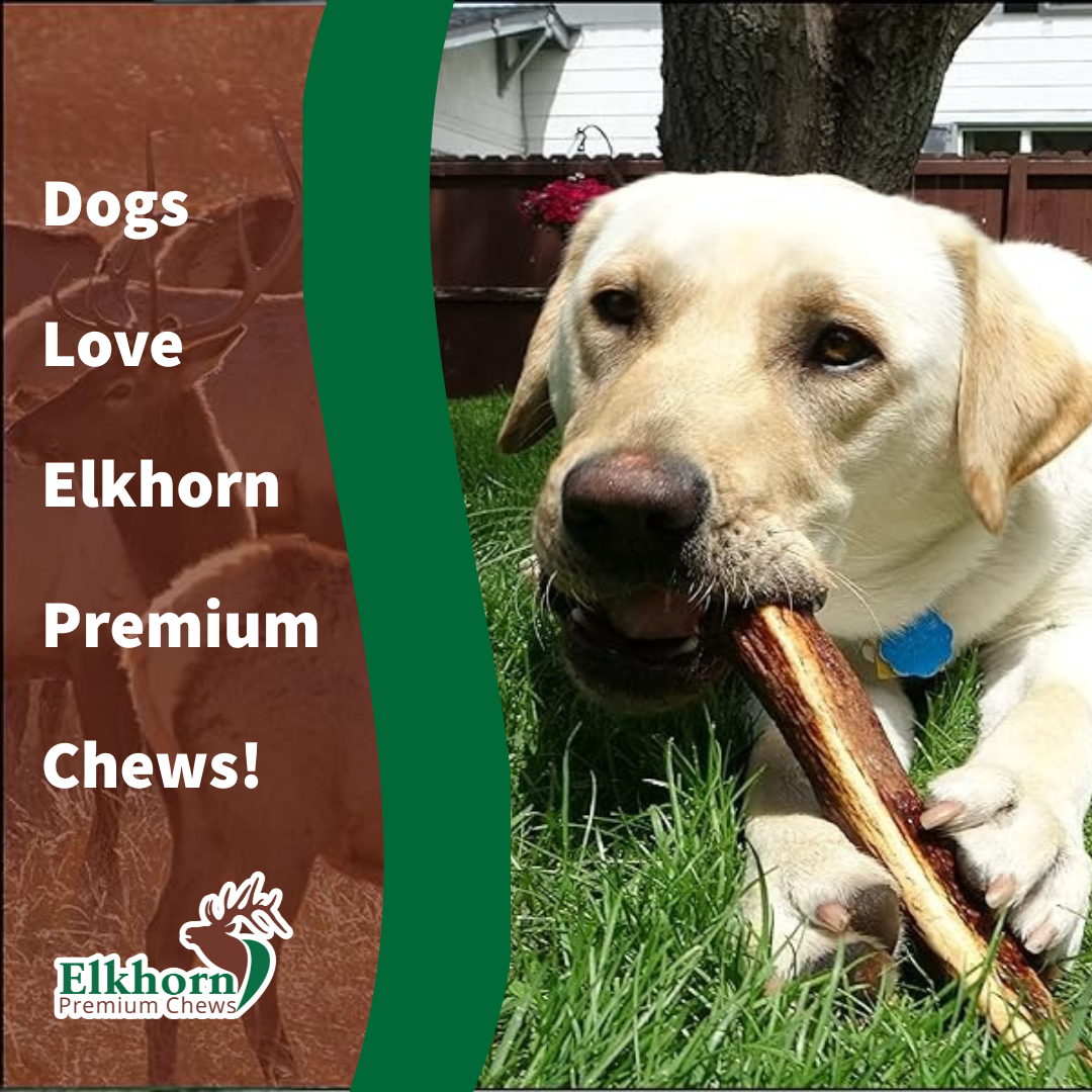 Elkhorn Premium Chews Facebook ad