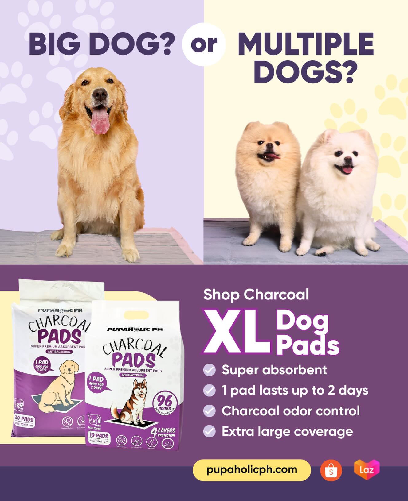 Pupaholic PH Facebook ad: Pupaholic PH - Charcoal Dog Training Pads and Charcoal Wipes