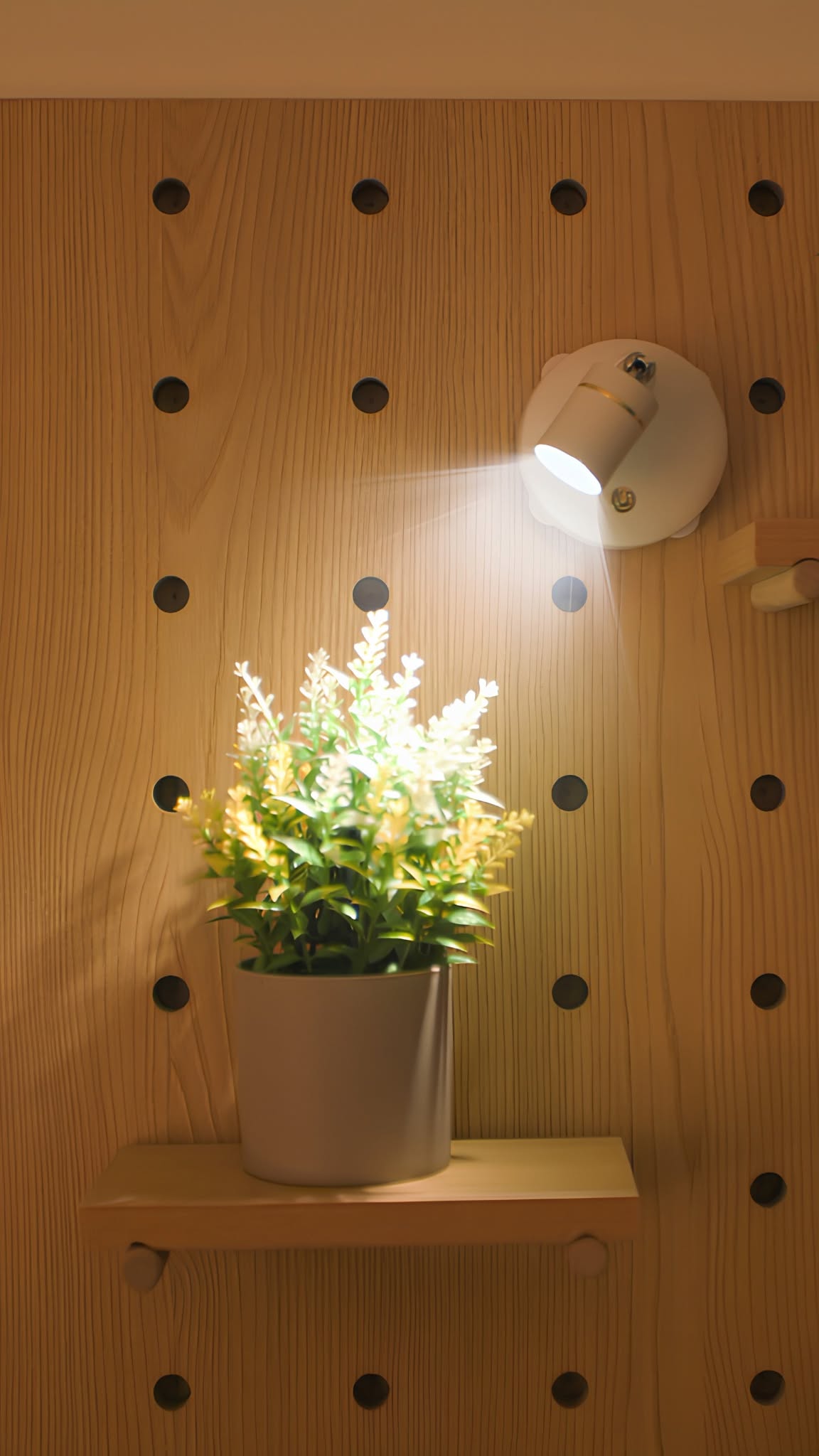 Creative.Lighting Facebook ad