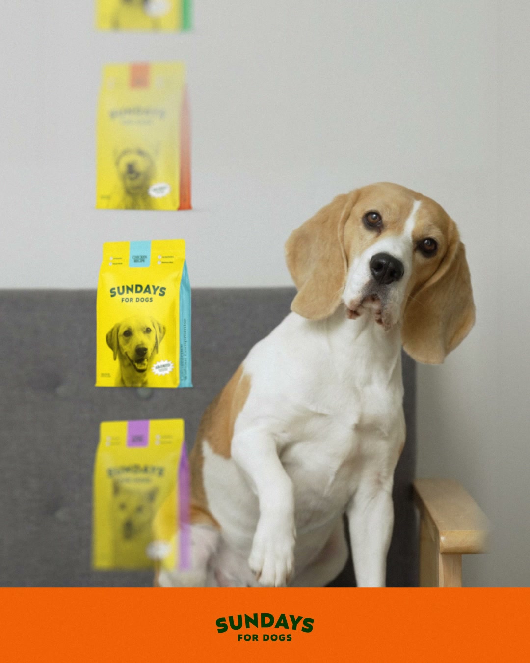Sundays Facebook ad: Sundays Air-Dried Food for Dogs