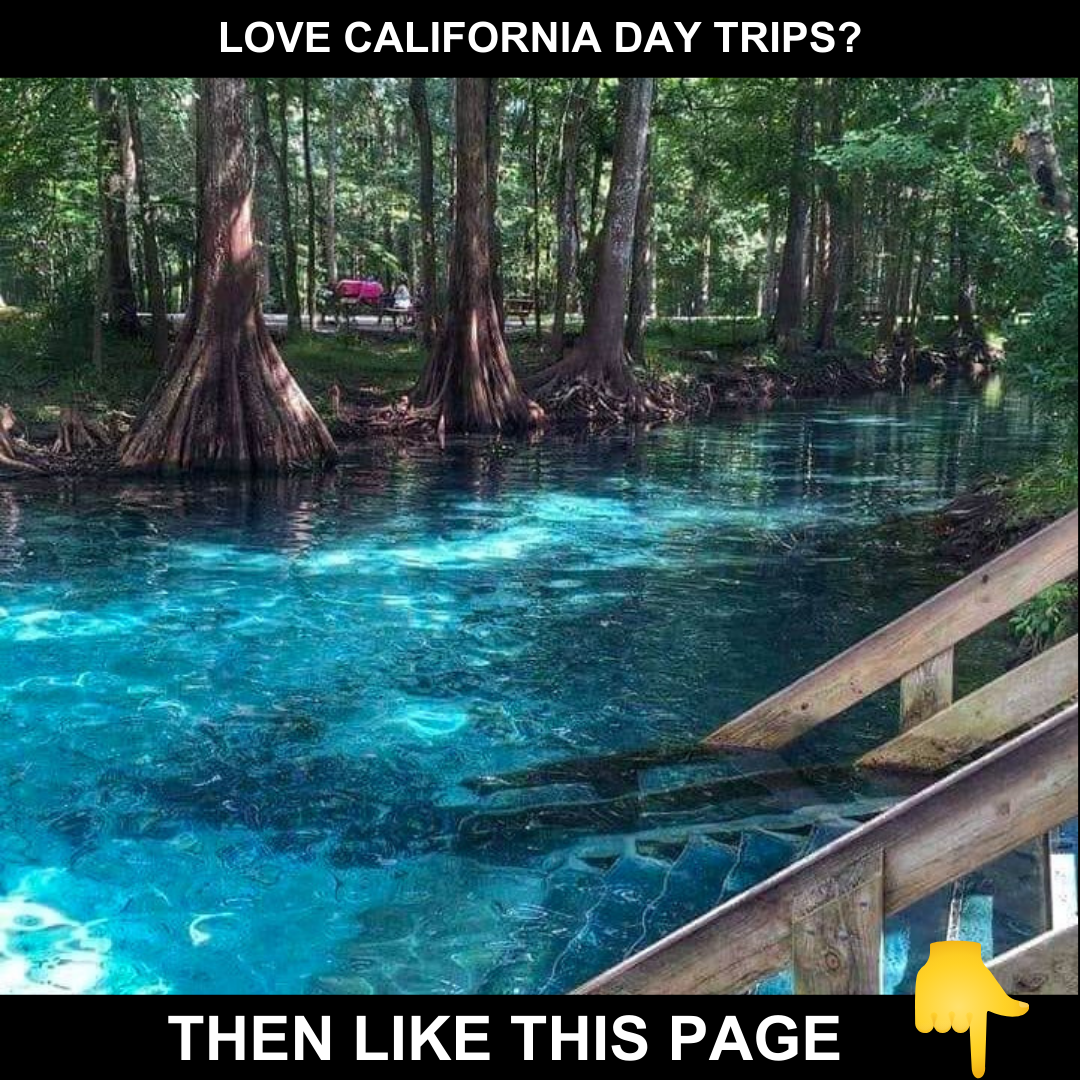 California Family Destinations Facebook ad: If you LOVE California day trips, then Like…