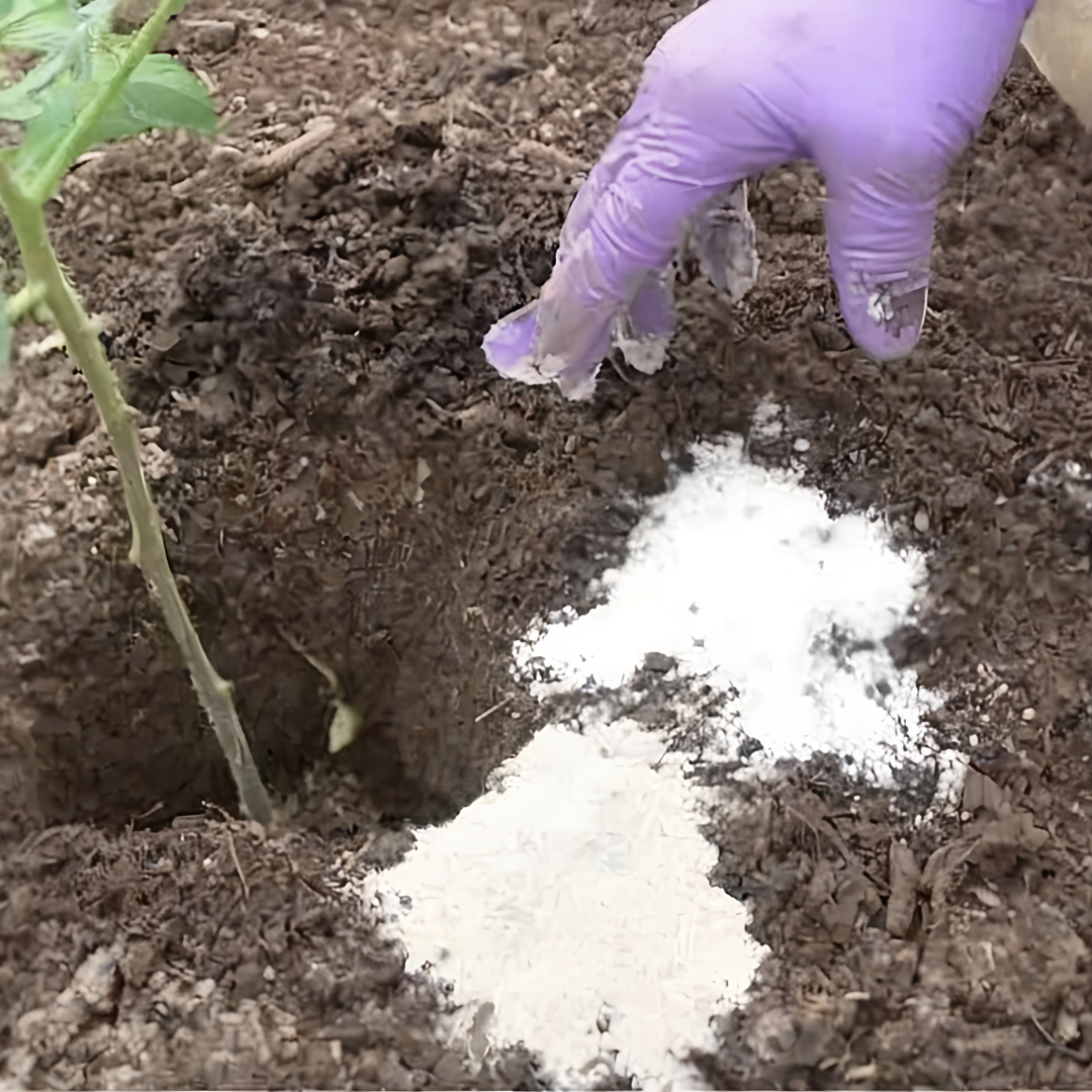 Gardening Wins Facebook ad