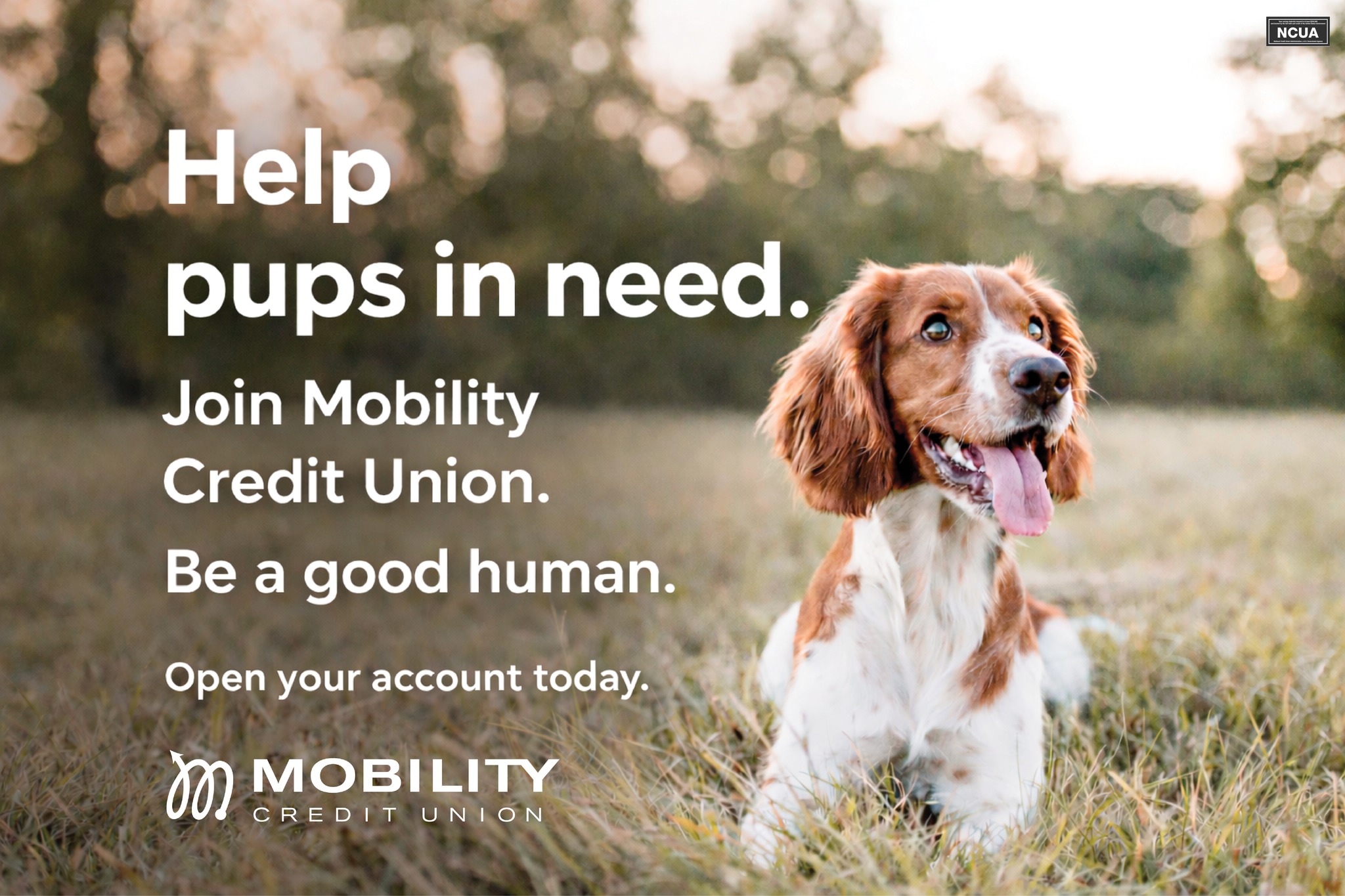 Mobility Credit Union Facebook ad: Mobility Credit Union: Banking Without Boundaries