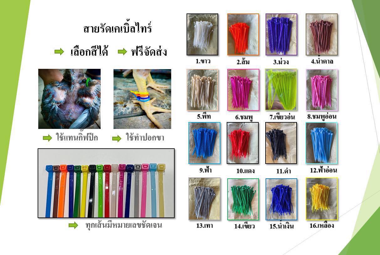 อุปกรณ์ไก่ชน สายรัดเคเบิ้ลไทร์ใช้ทำห่วงขาไก่ ยาบำรุงไก่ชน ยารักษาไก่ชน Facebook ad: สายรัดเคเบิ้ลไทร์
