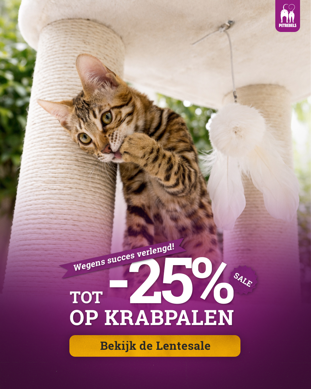 petrebels.com Facebook ad