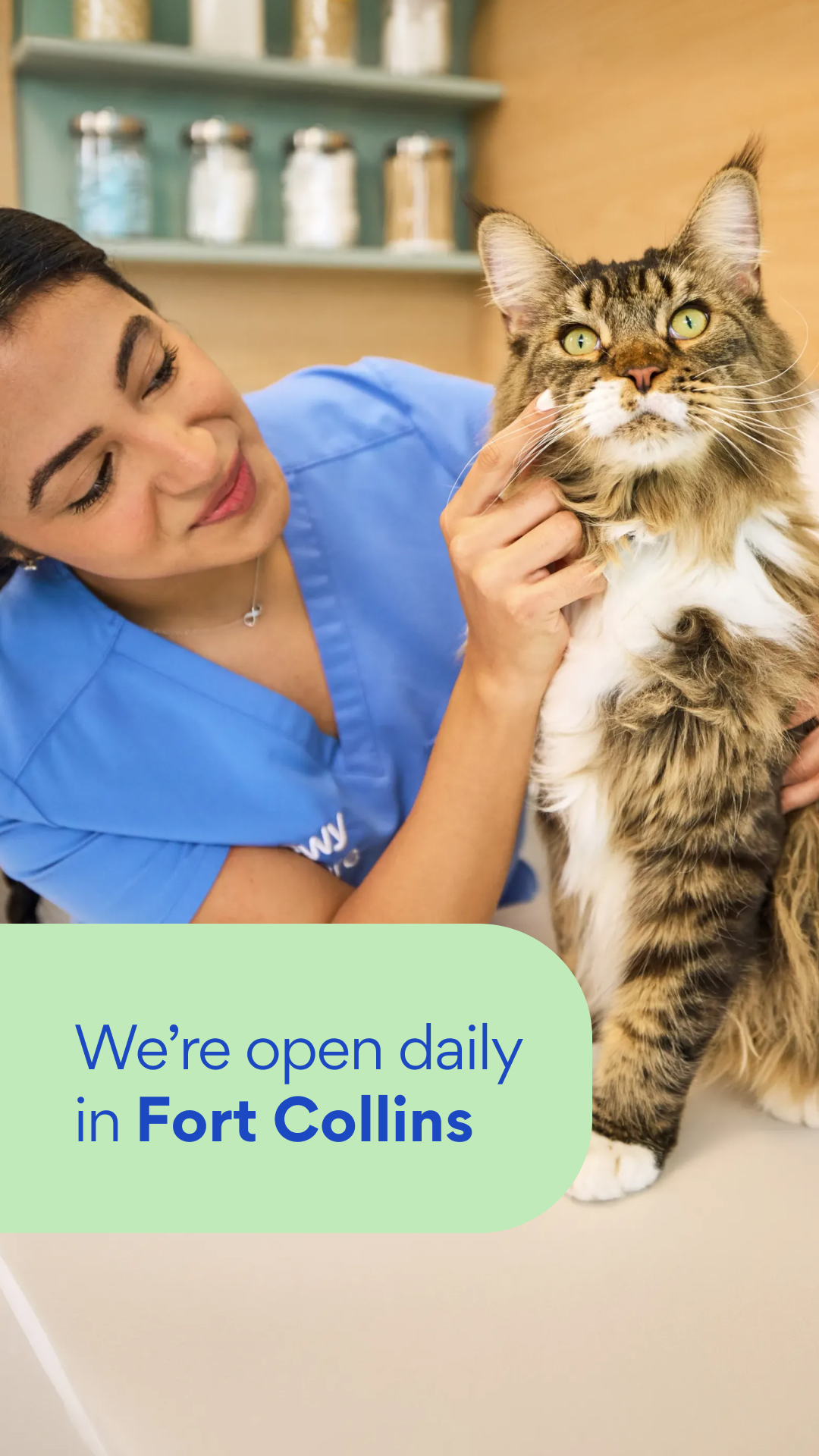 Chewy Vet Care Facebook ad