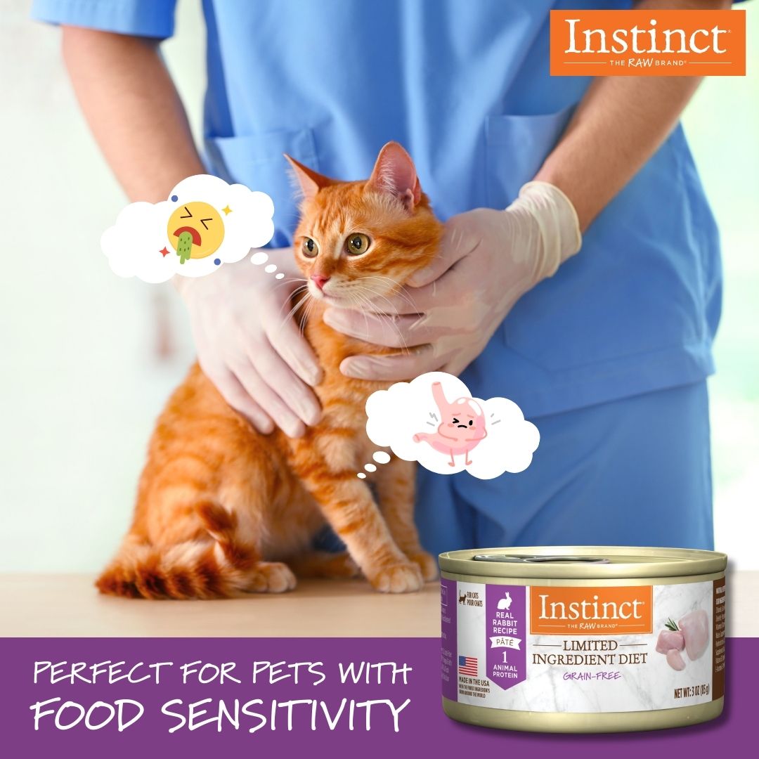 Instinct Pet Food Asia Facebook ad: Tackle Food Allergy