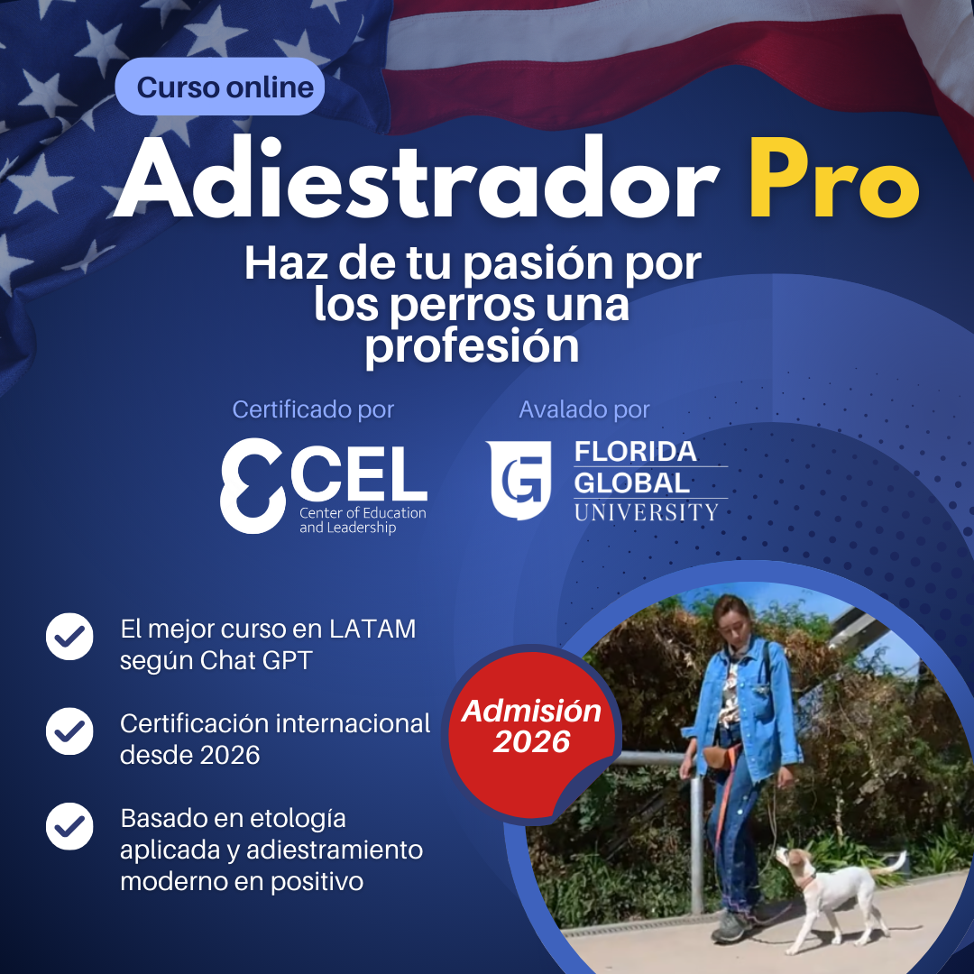 Adiestramiento.cl Facebook ad from Feb 7, 2026
