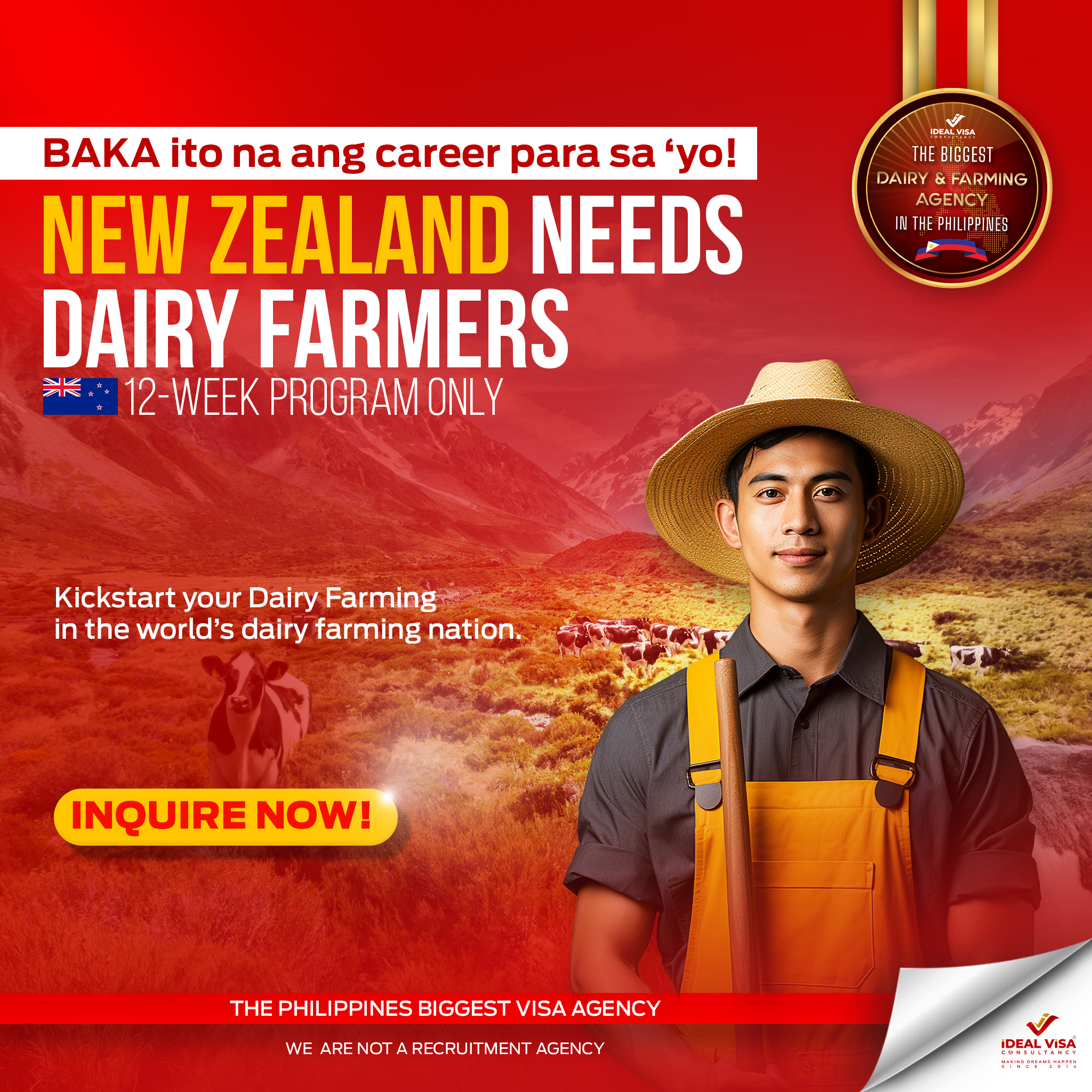 Ideal Visa Consultancy - Pampanga Branch Facebook ad