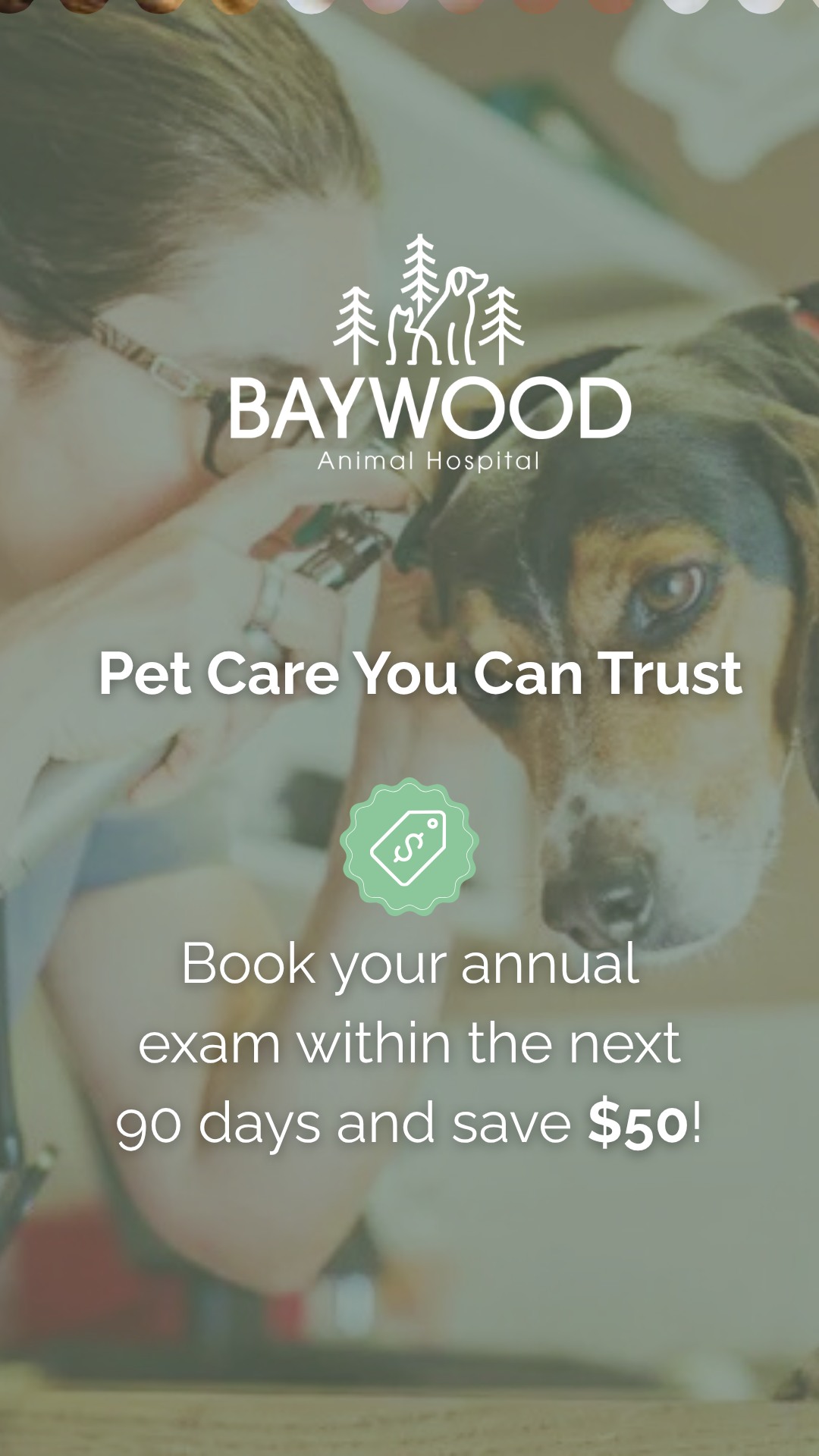Baywood Animal Hospital, Midhurst Facebook ad