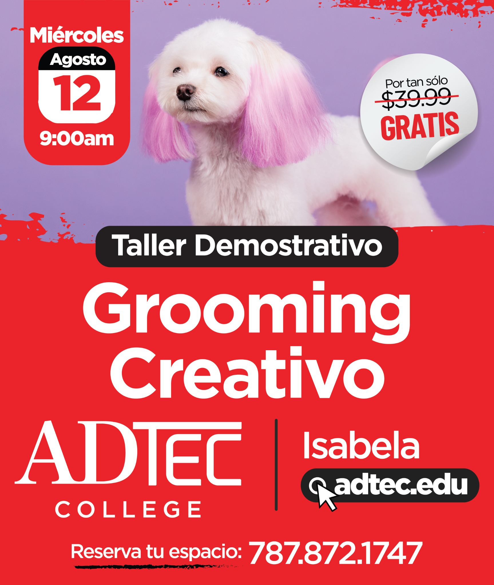 Adtec College Facebook ad
