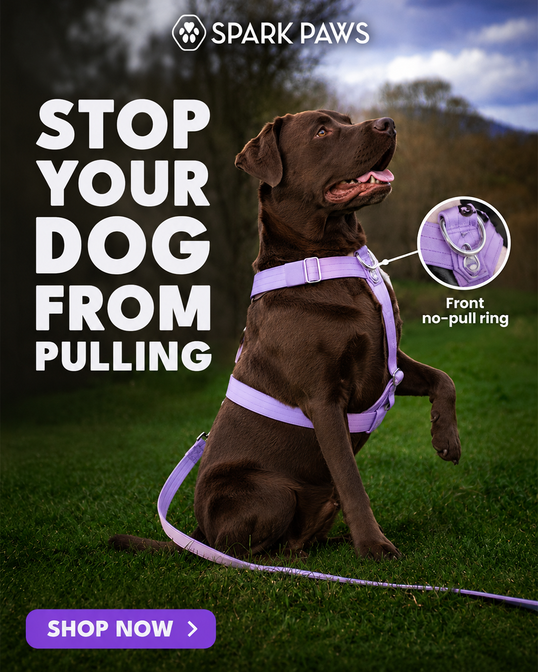 Spark Paws Facebook ad