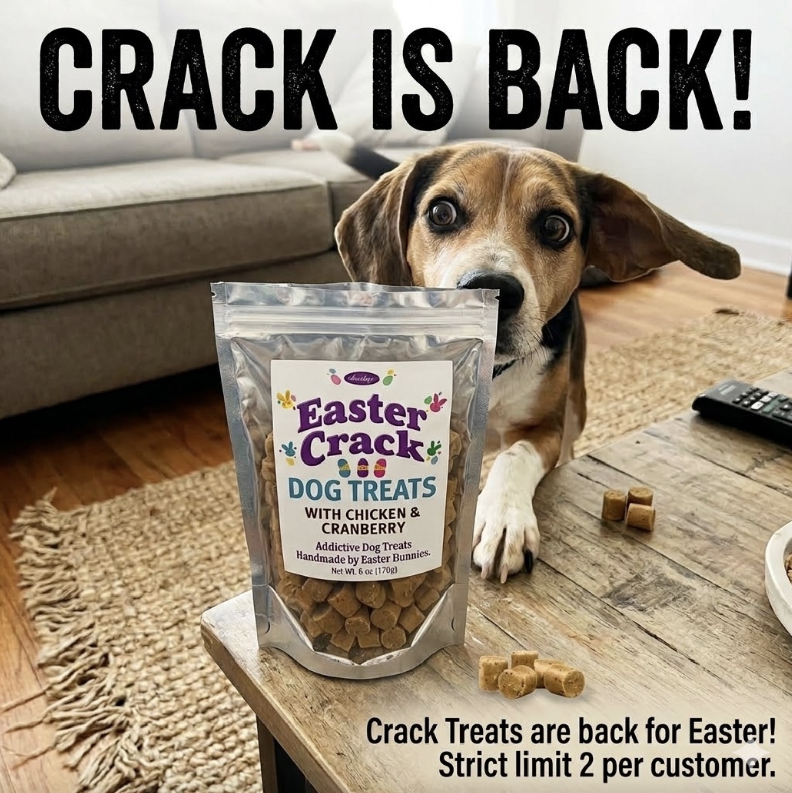 iHeartDogs Facebook ad
