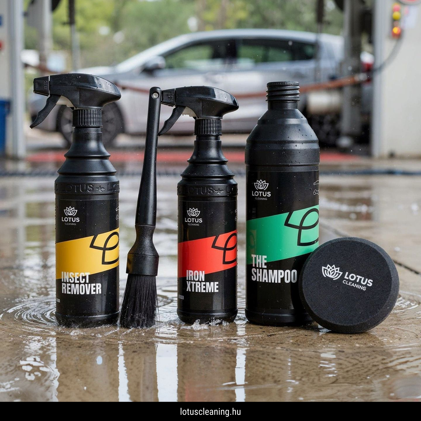 Lotus Cleaning Facebook ad