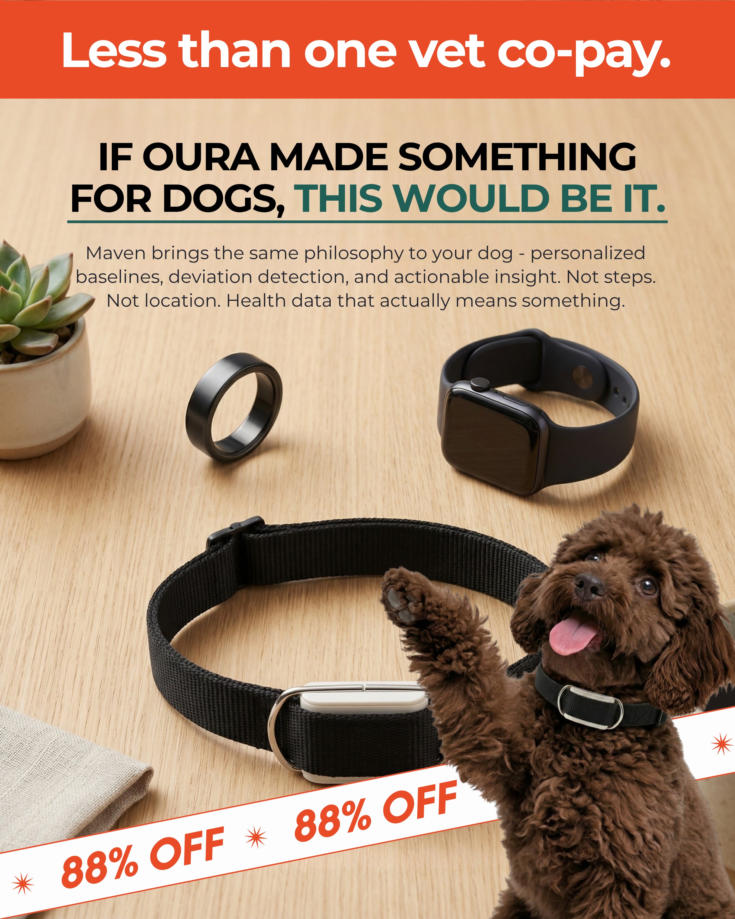 The Stella Strays Facebook ad