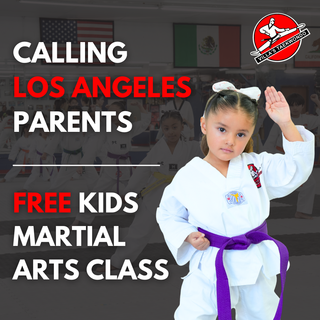 Villa’s Taekwondo Facebook ad: Kids Taekwondo (Ages 5+) | Free Trial Pass
