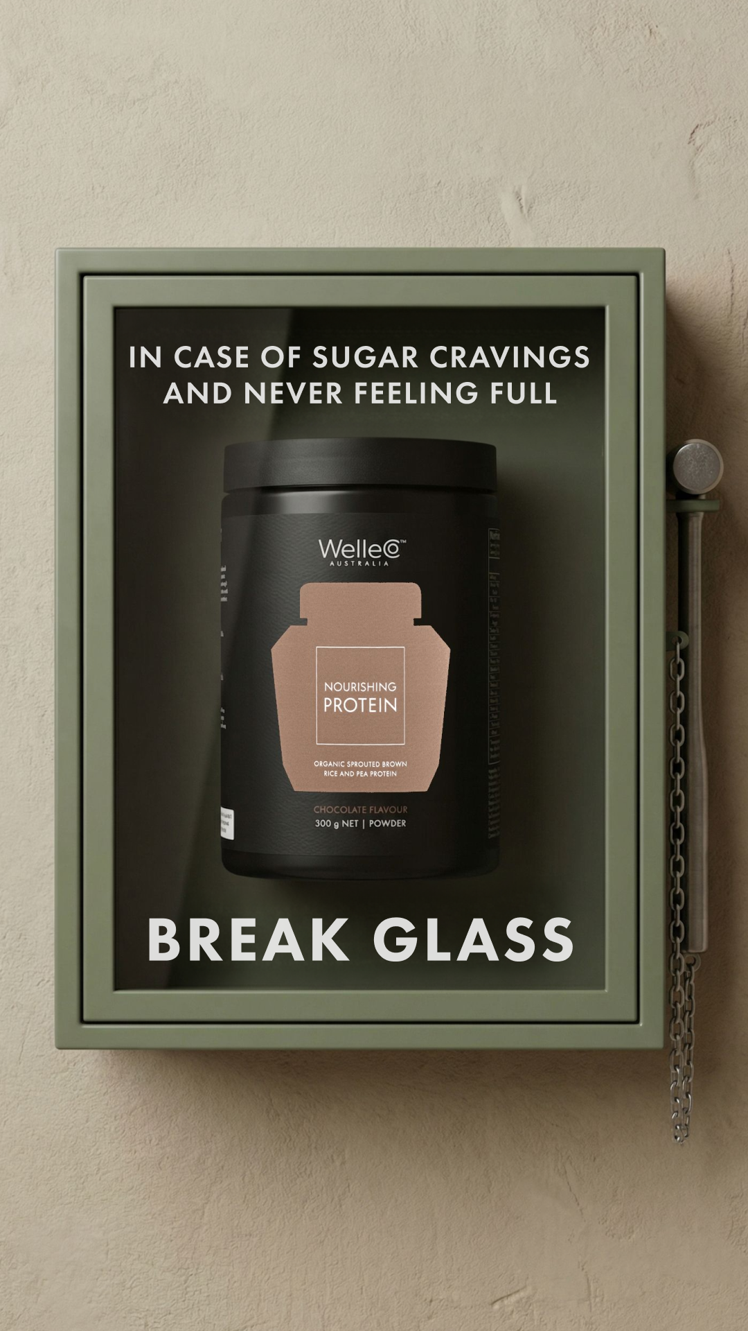 WelleCo Facebook ad