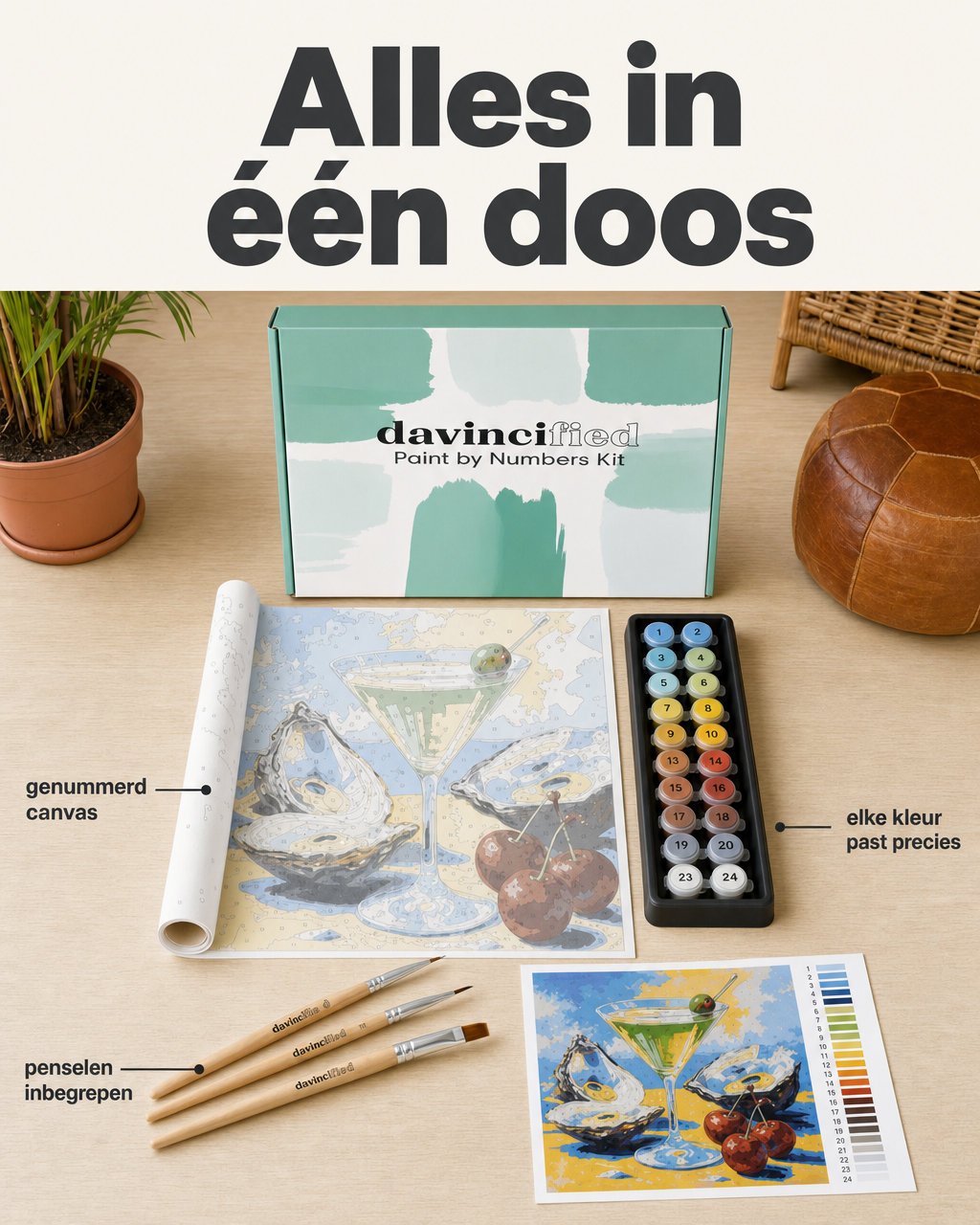 Davincified Netherlands Facebook ad: Alles in één doos