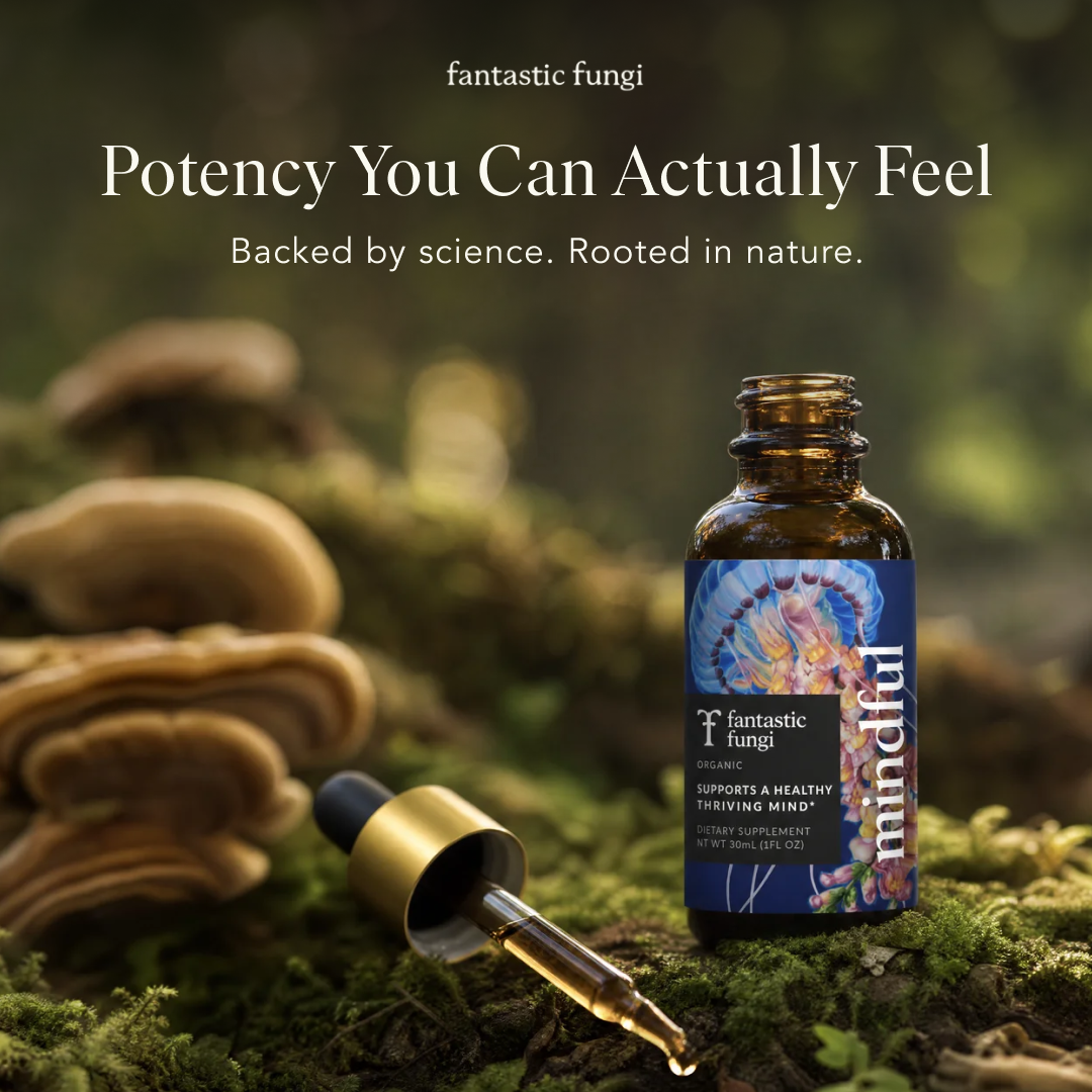 Fantastic Fungi Facebook ad