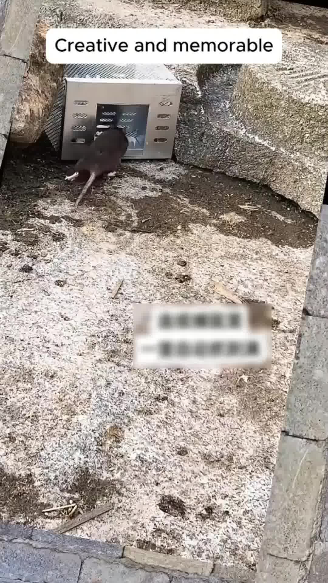 Limorence.com Facebook ad: Humane Rat Trap Live Chipmunk Cage Trap