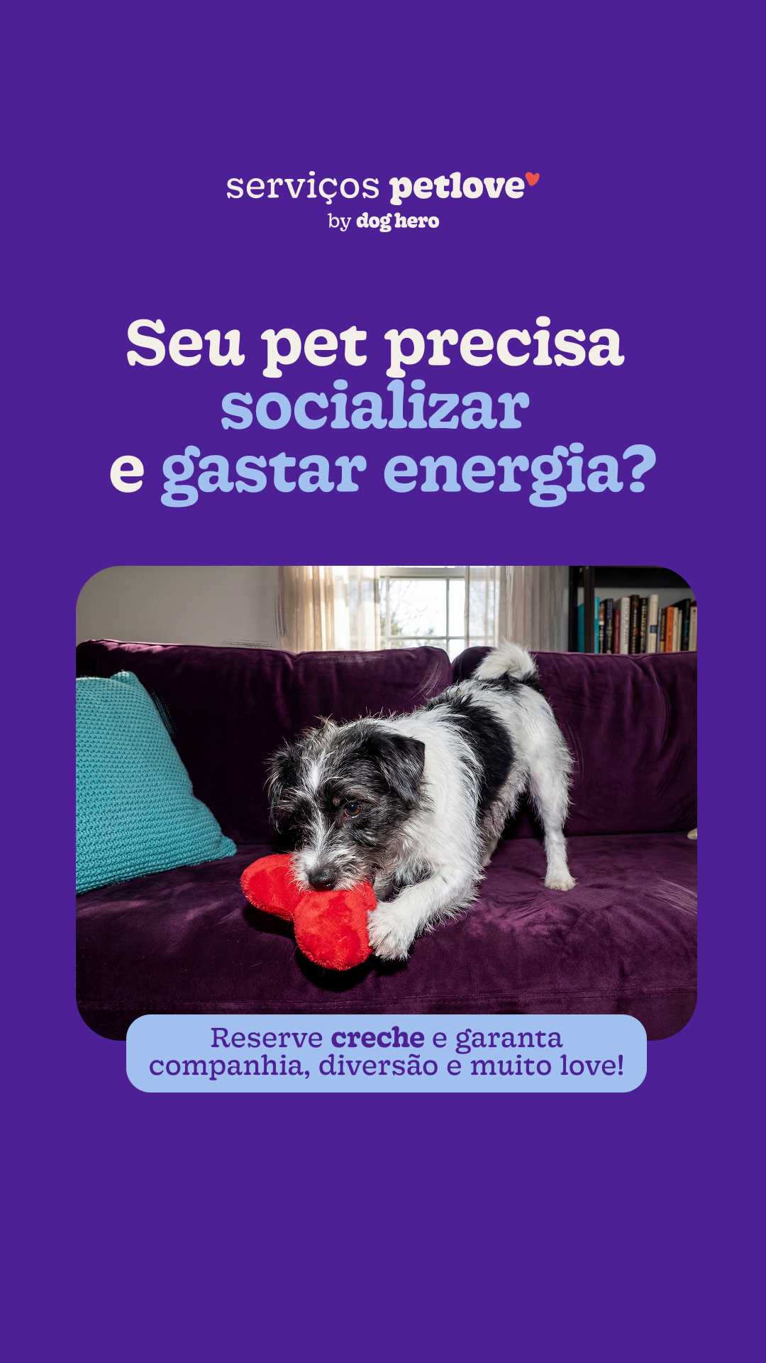 Petlove Facebook ad