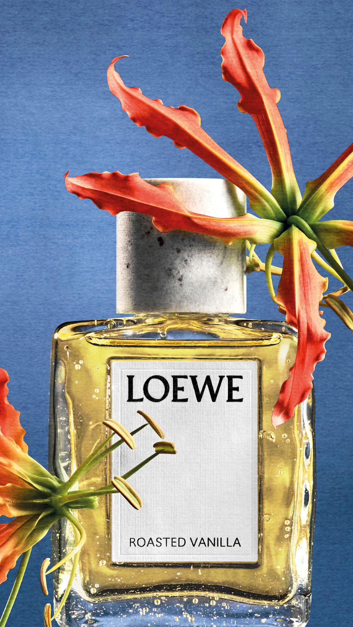 LOEWE Perfumes Facebook ad