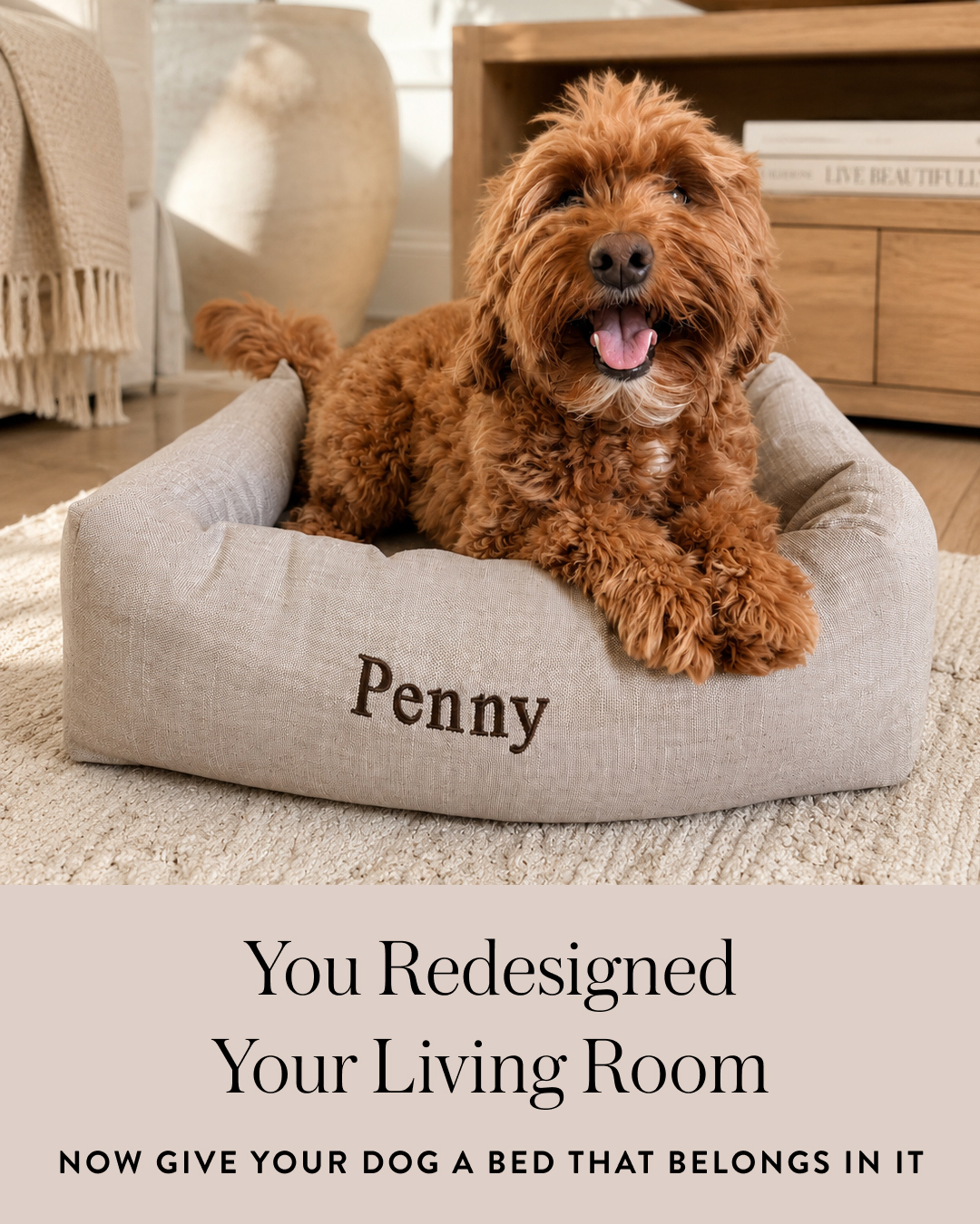 The Foggy Dog Facebook ad