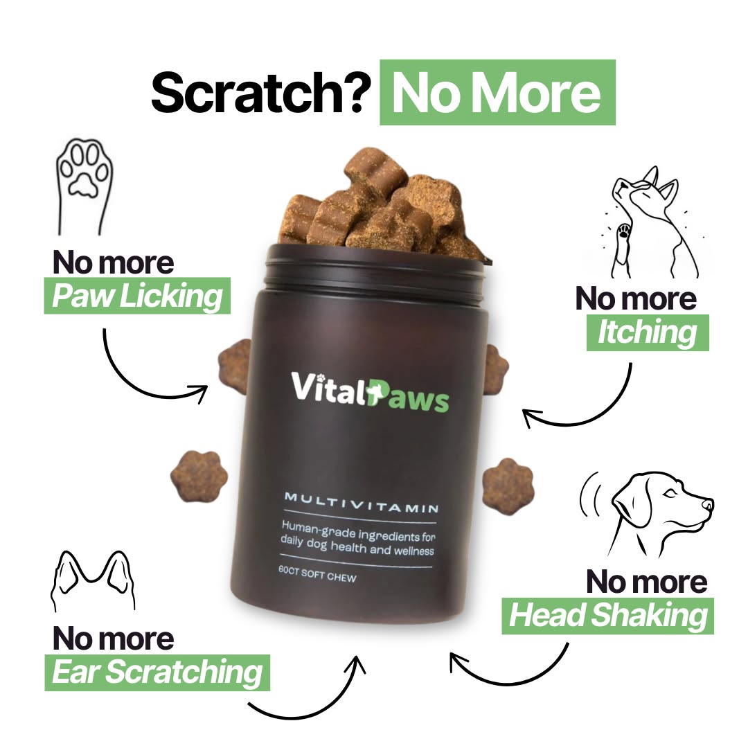 VitalPaws Facebook ad