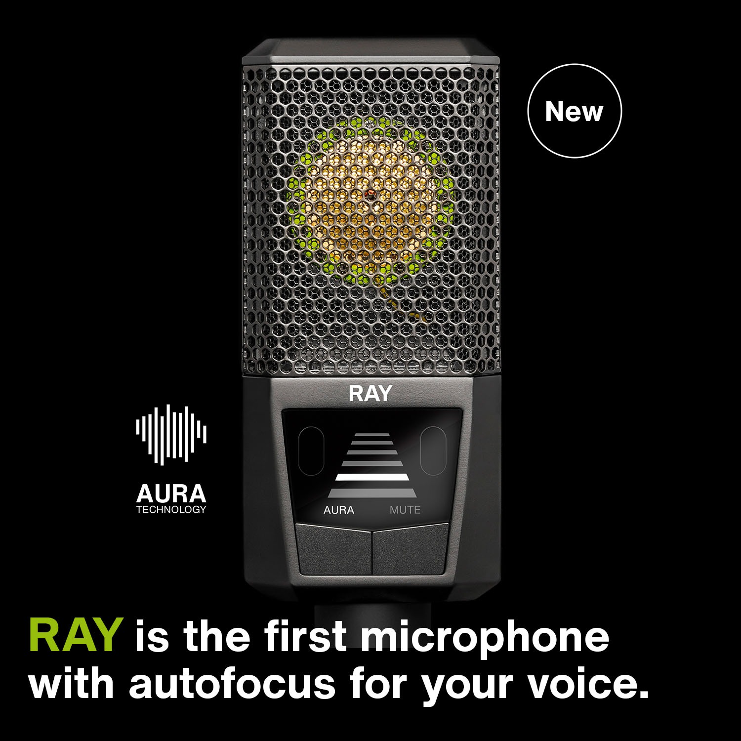 LEWITT Facebook ad: RAY precisely adapts your level and tone depending…