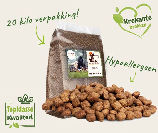 Online Hondenschool Facebook ad