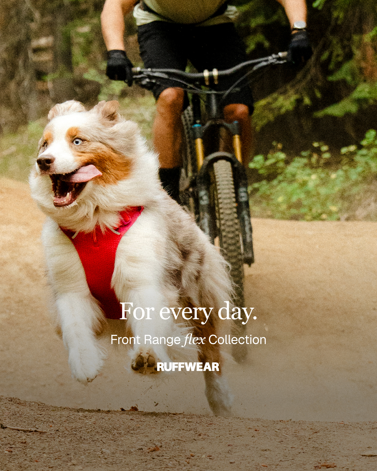 Ruffwear Facebook ad