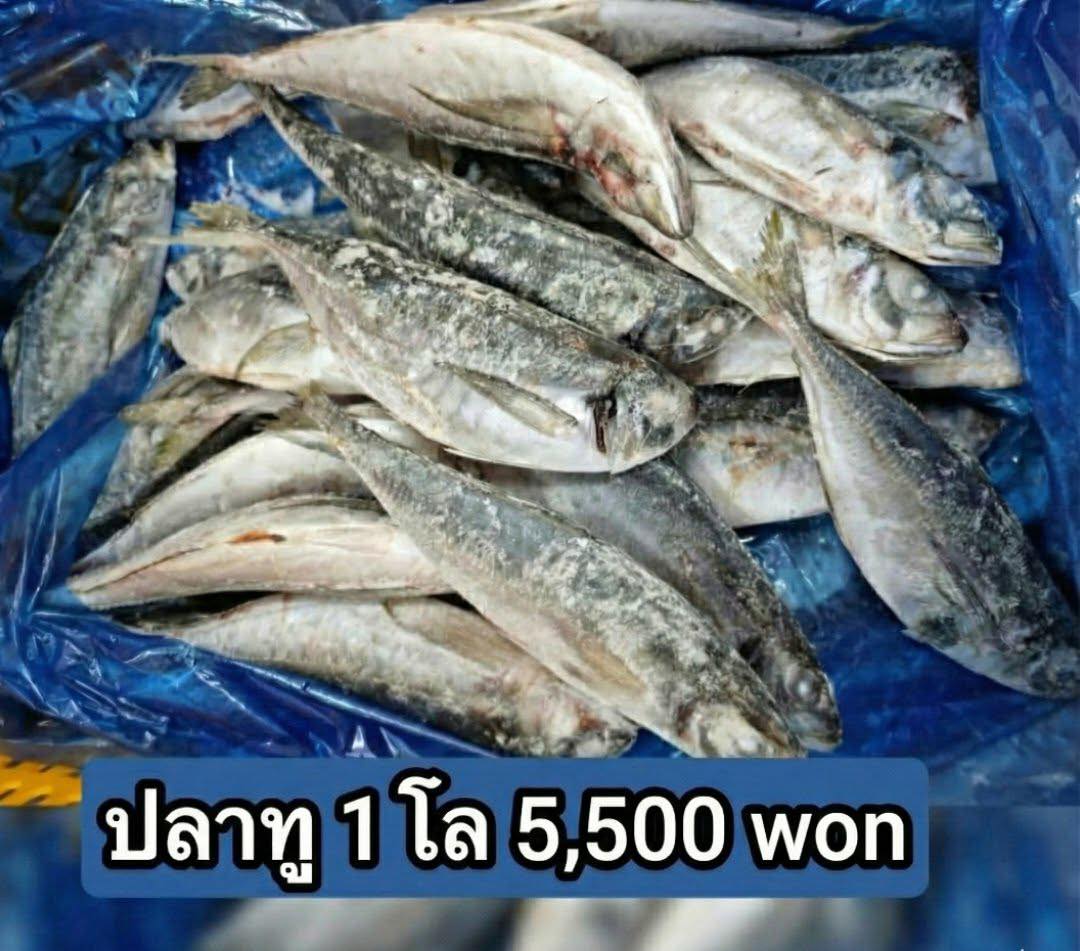 ซาจัง.อาหารสด Facebook ad: ซาจัง.อาหารสด สวัสดีจ้าา