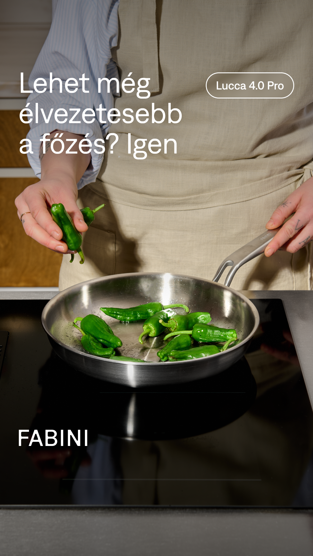FABINI HU Facebook ad