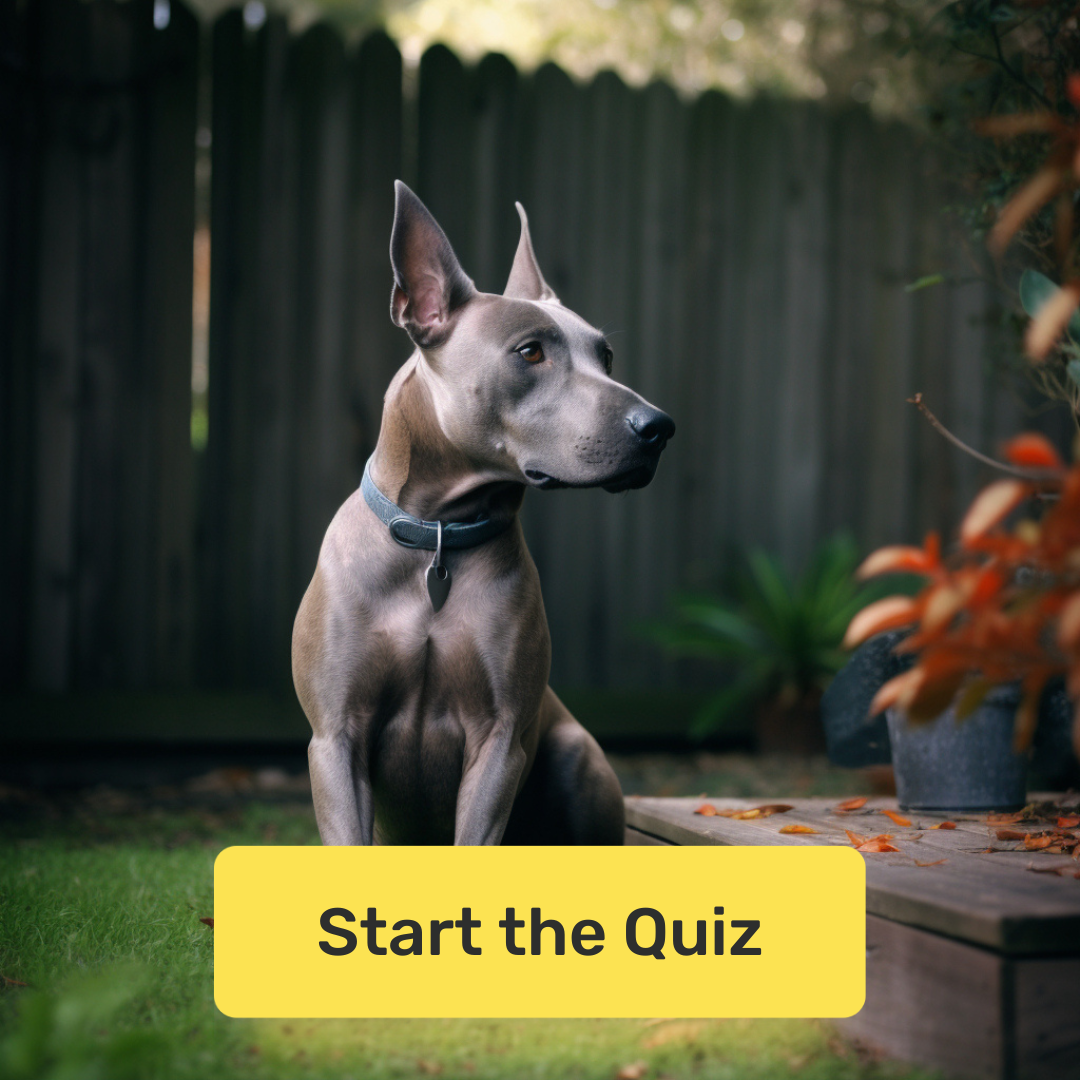 QuizGriz Facebook ad