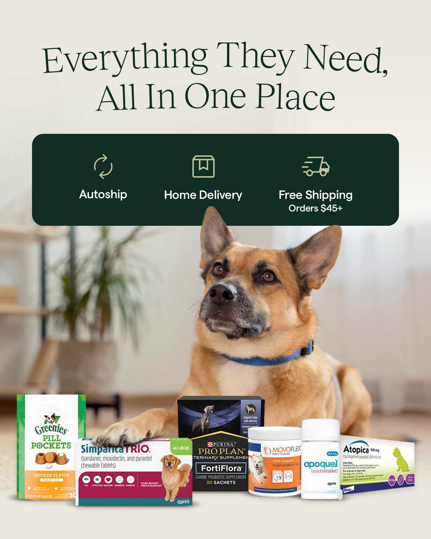 Koala Health Facebook ad