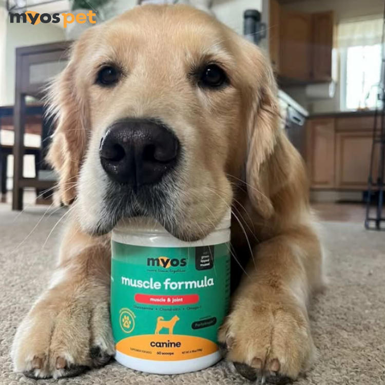 Myos Pet Products Facebook ad
