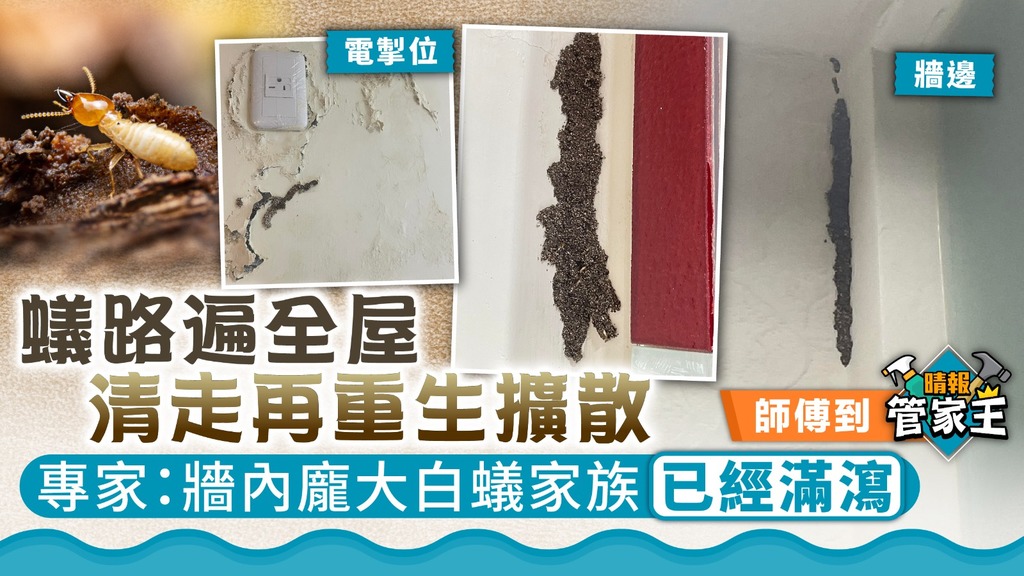 撲滅牠滅蟲有限公司 Pestokill Pest Specialist Ltd. Facebook ad