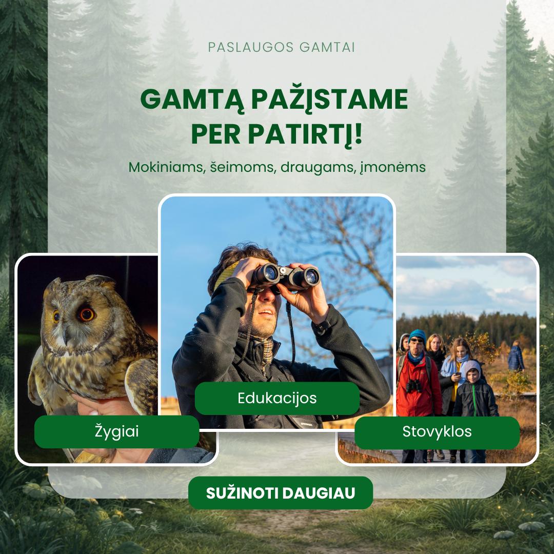 Paslaugos gamtai Facebook ad: Gamta turi jums planą