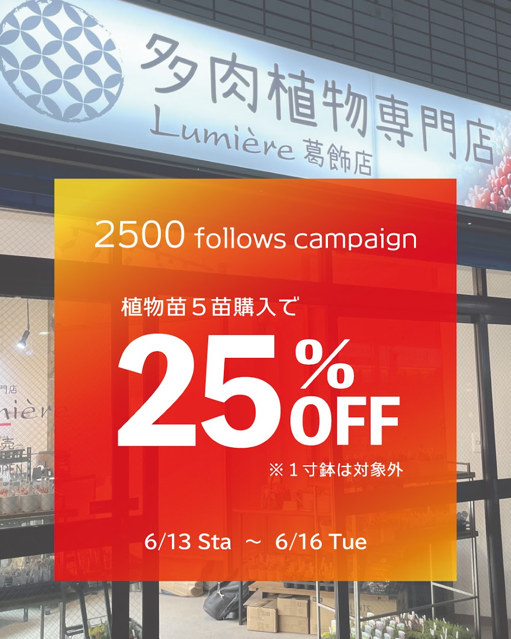 多肉植物専門店Lumière 葛飾店 Facebook ad: 【25%OFF】明日13日から 2500followsキャンペーン開催